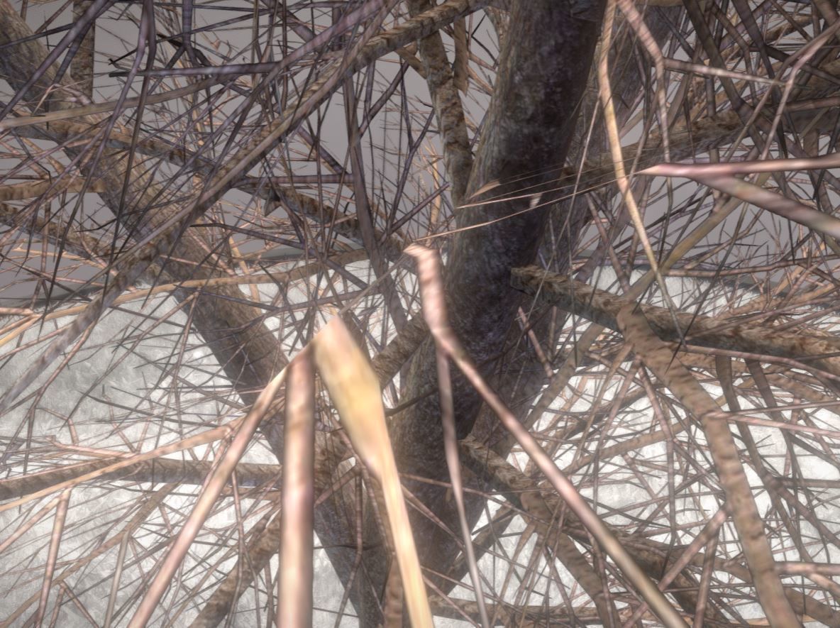 European horse chestnut 12m all seasons 3D Model Collection_31