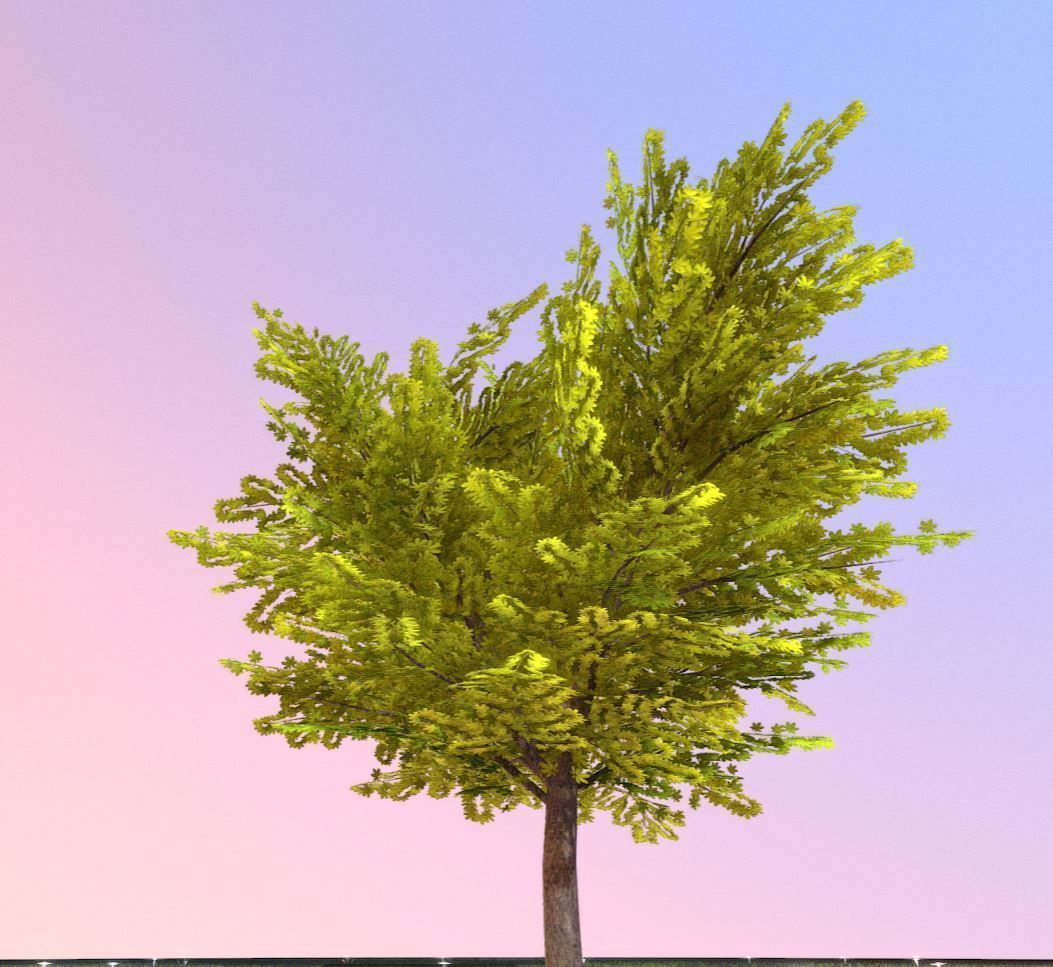 European horse chestnut 12m all seasons 3D Model Collection_25