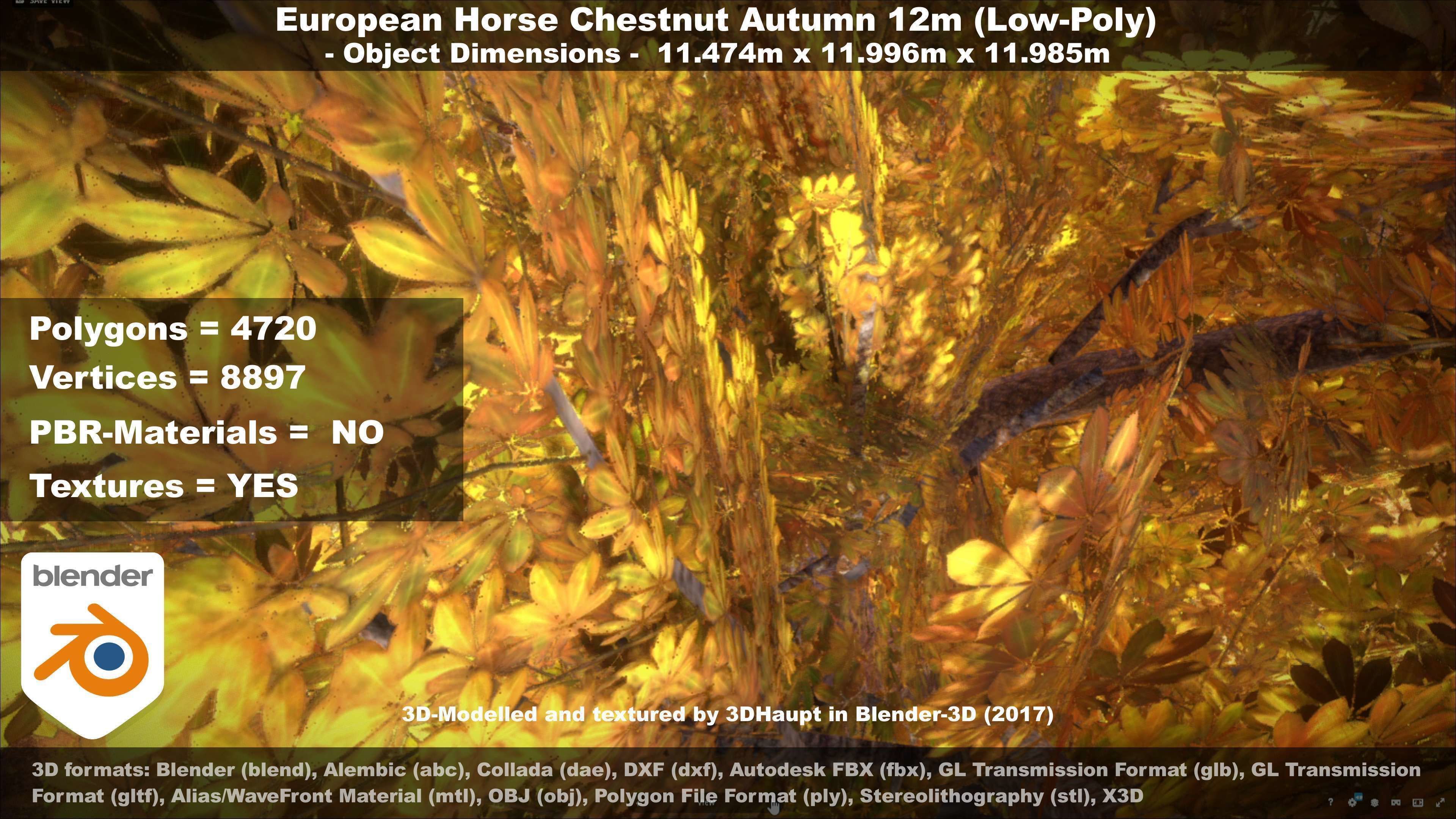 European horse chestnut 12m all seasons 3D Model Collection_49