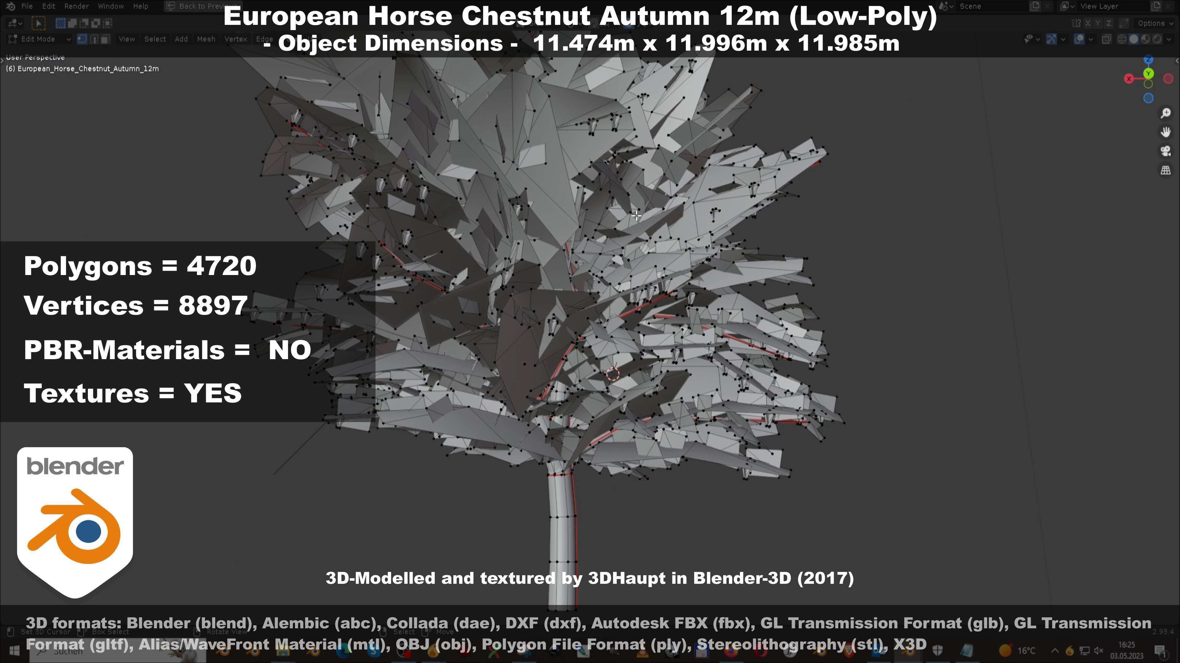European horse chestnut 12m all seasons 3D Model Collection_42