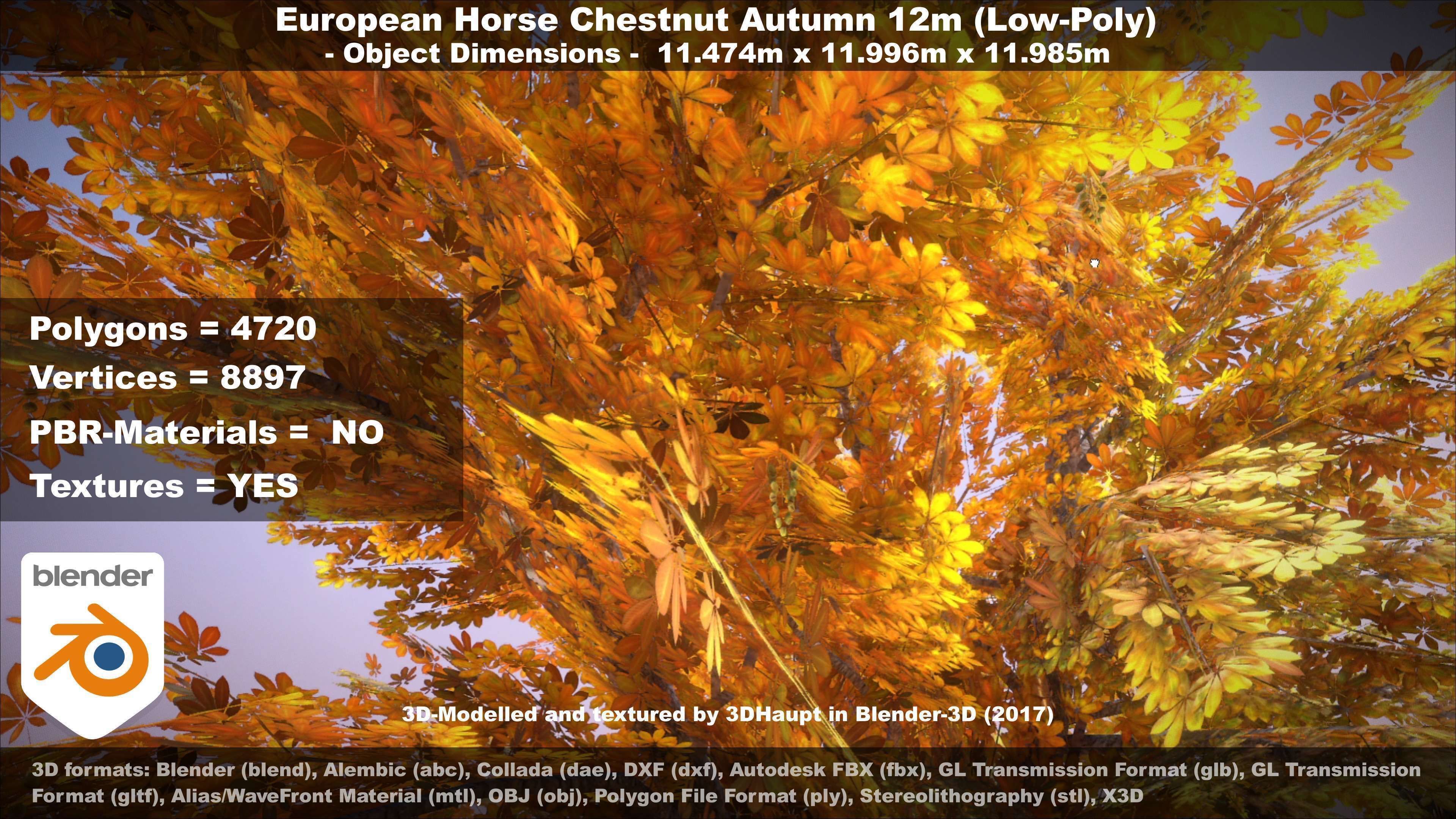 European horse chestnut 12m all seasons 3D Model Collection_48