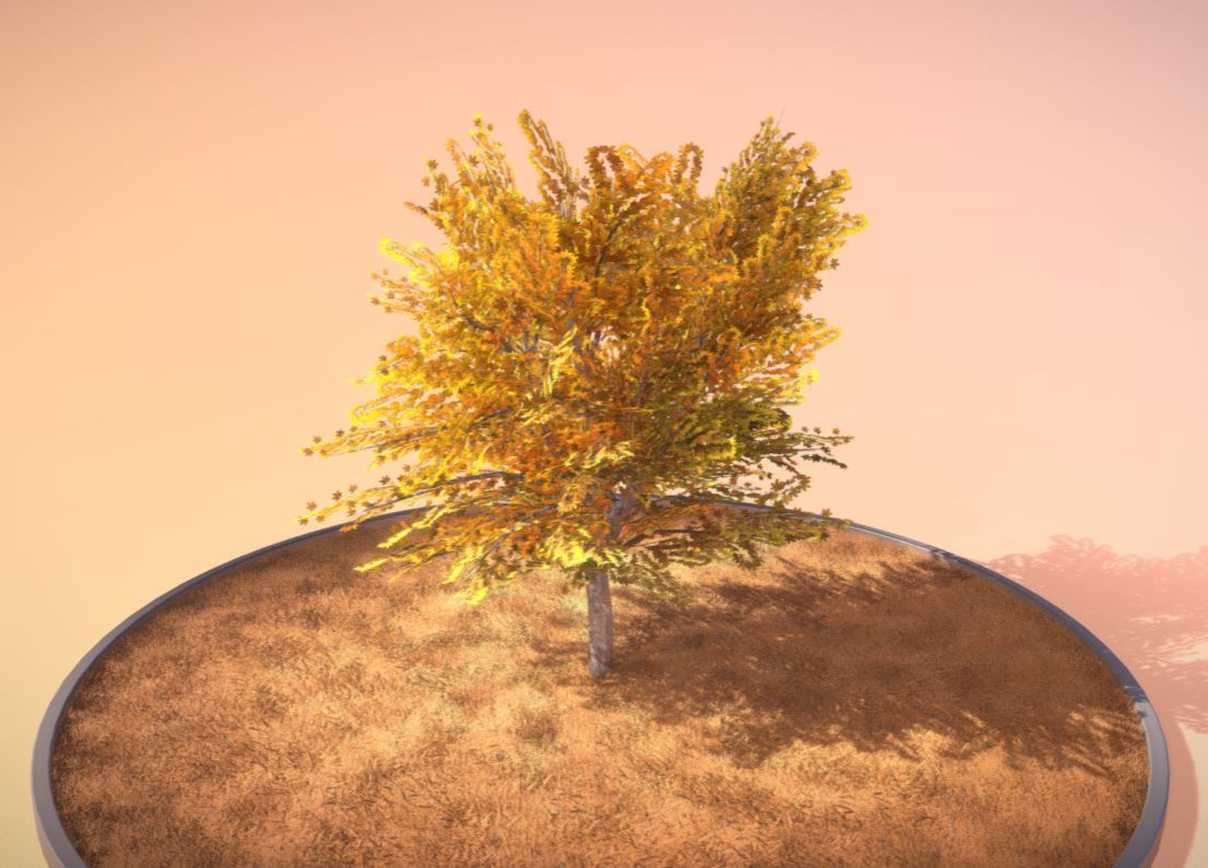 European horse chestnut 12m all seasons 3D Model Collection_7