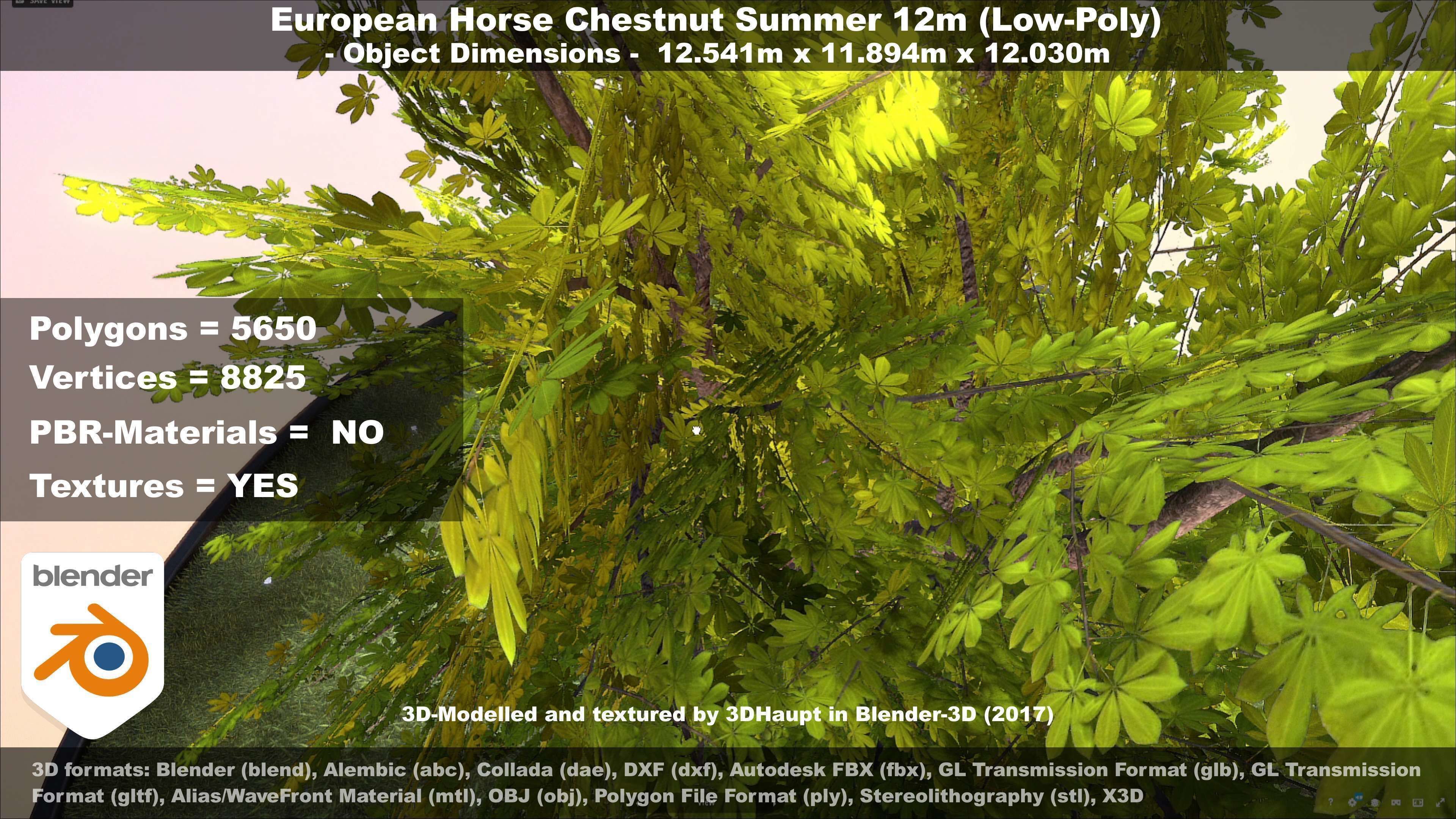 European horse chestnut 12m all seasons 3D Model Collection_81