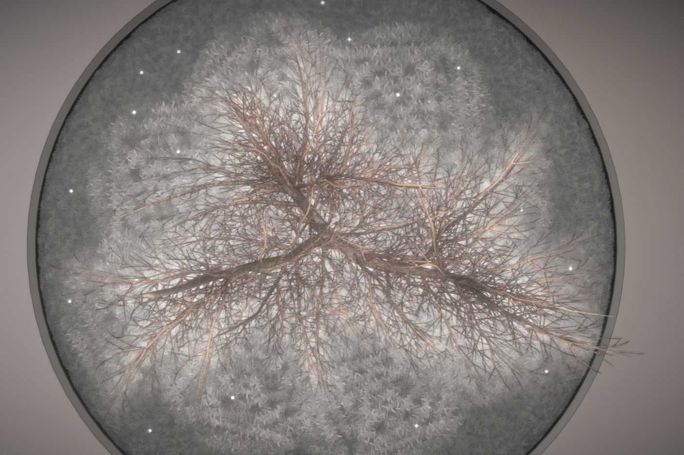 European horse chestnut 12m all seasons 3D Model Collection_36