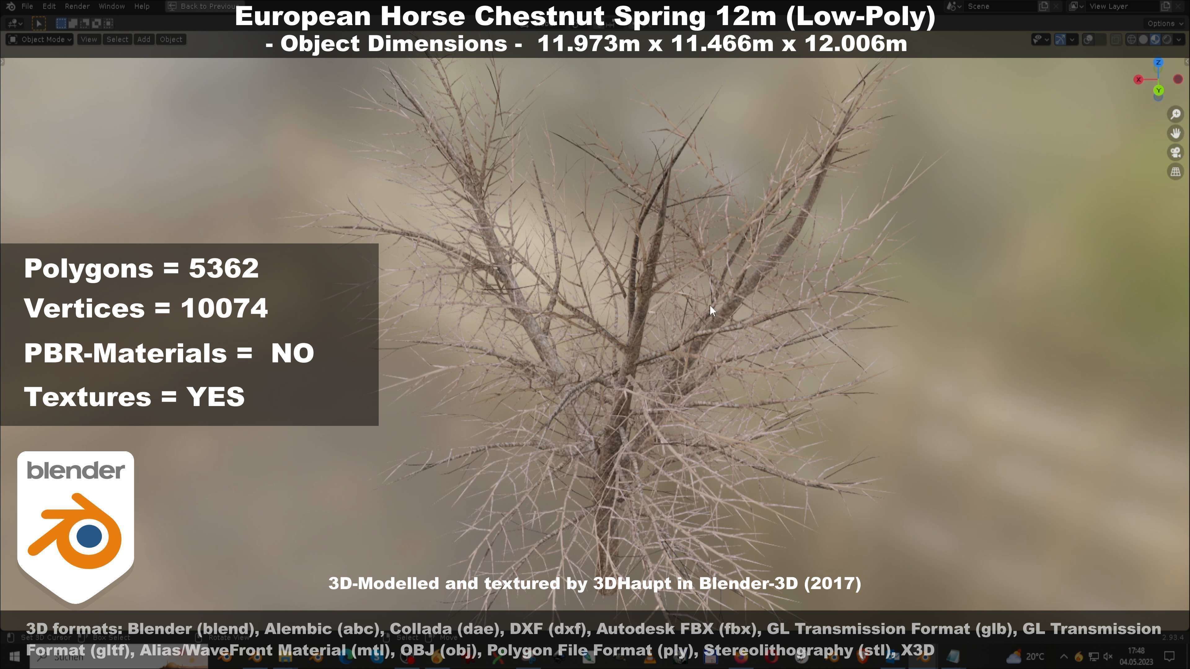 European horse chestnut 12m all seasons 3D Model Collection_86