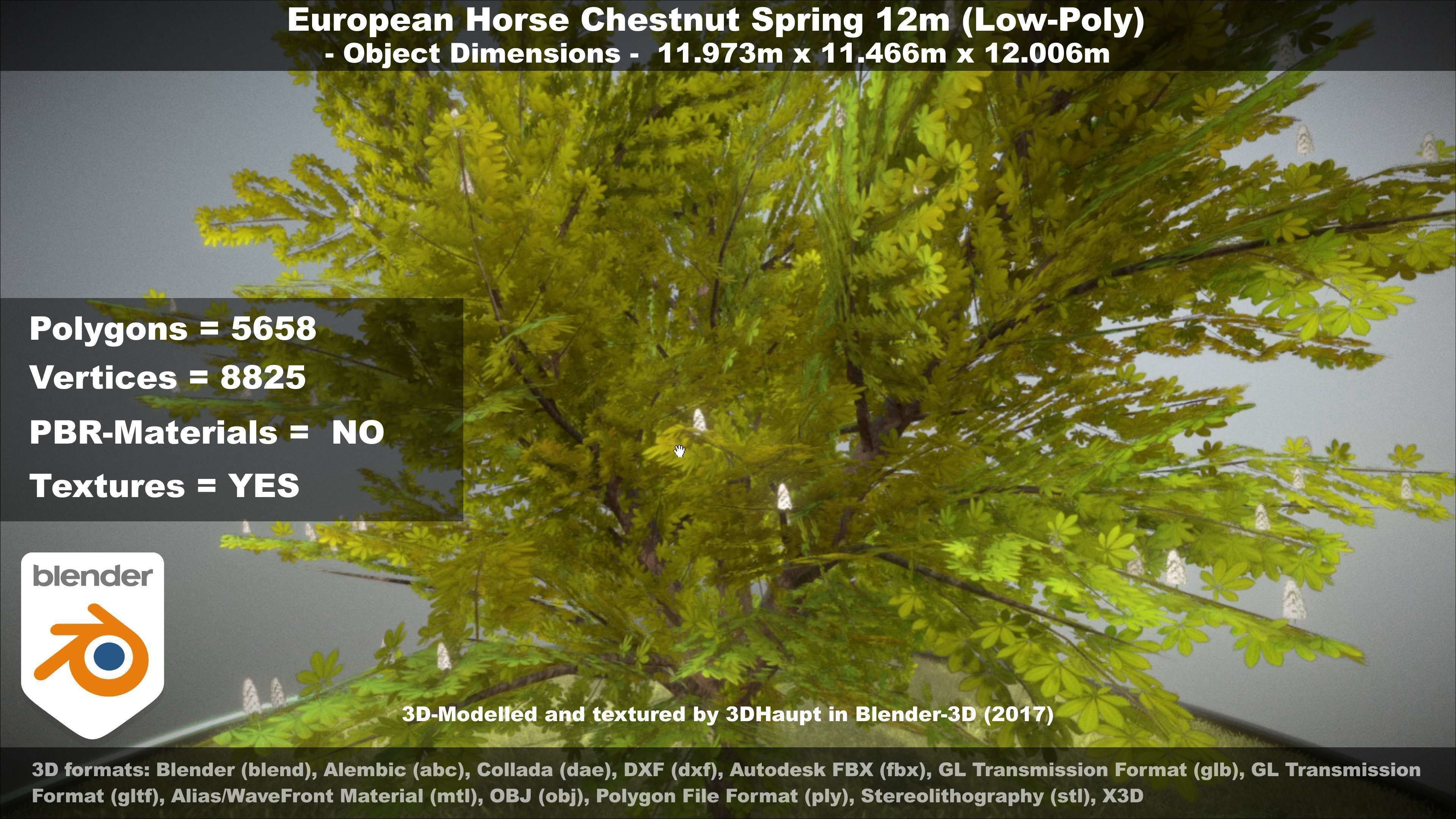 European horse chestnut 12m all seasons 3D Model Collection_65
