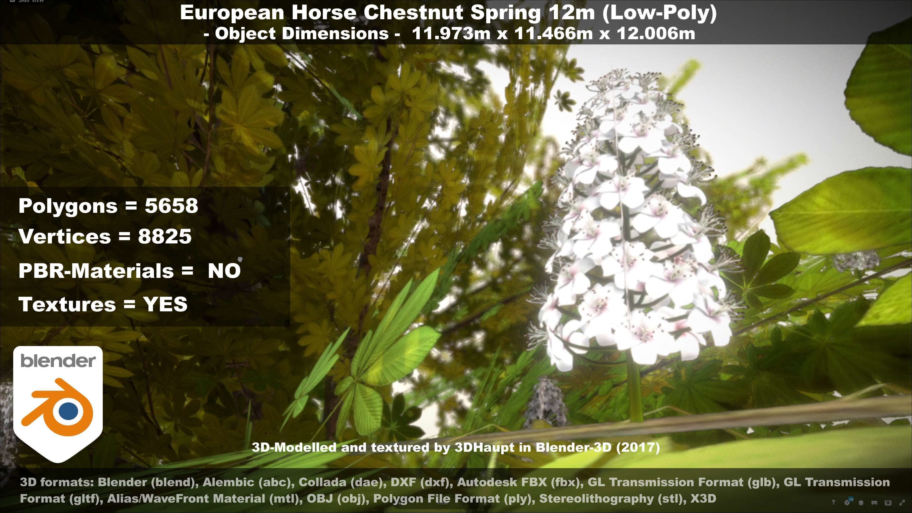 European horse chestnut 12m all seasons 3D Model Collection_62