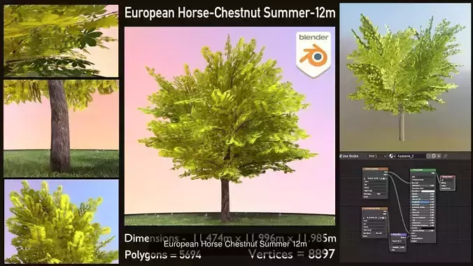 European horse chestnut 12m all seasons 3D Model Collection