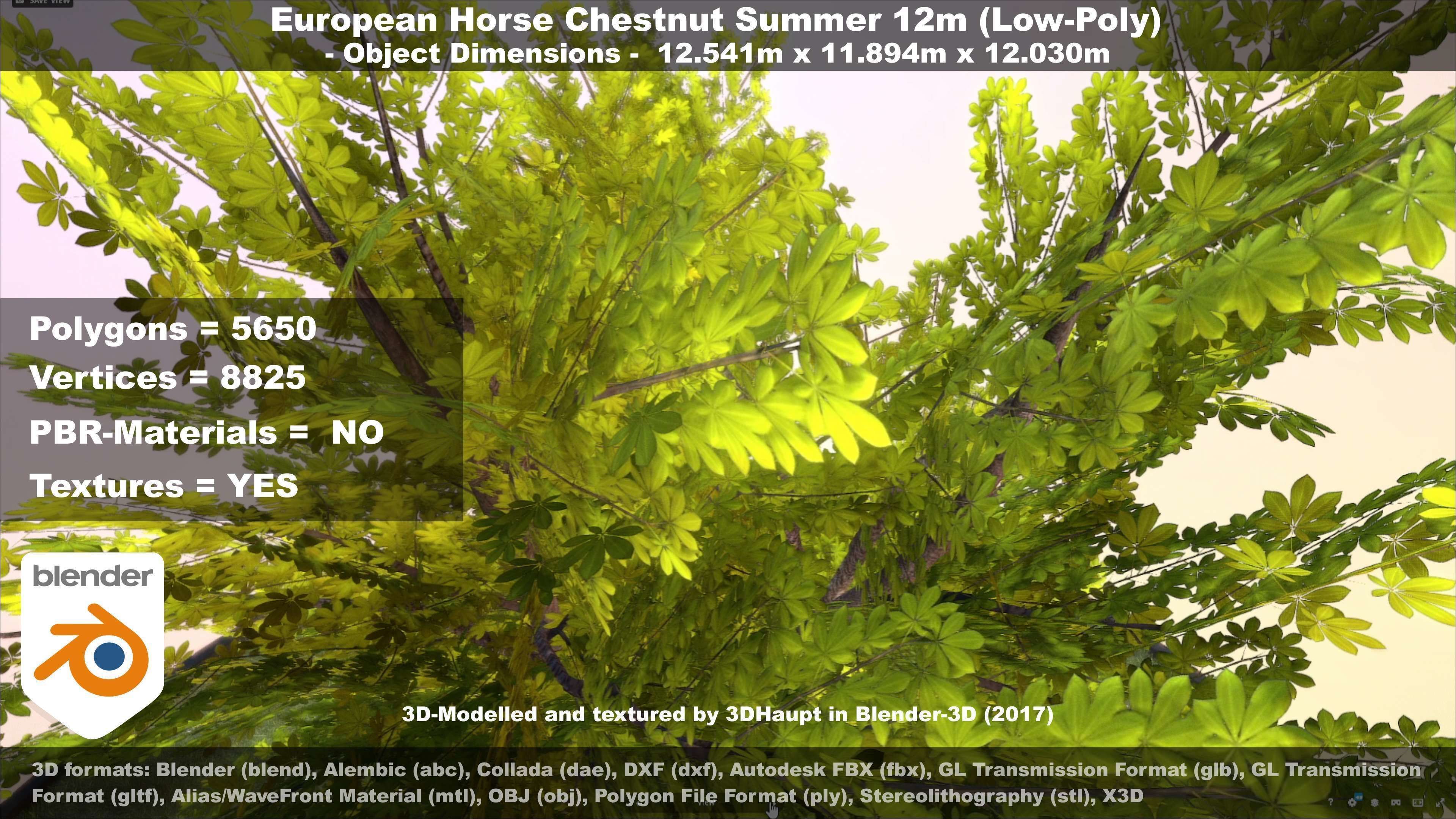 European horse chestnut 12m all seasons 3D Model Collection_71