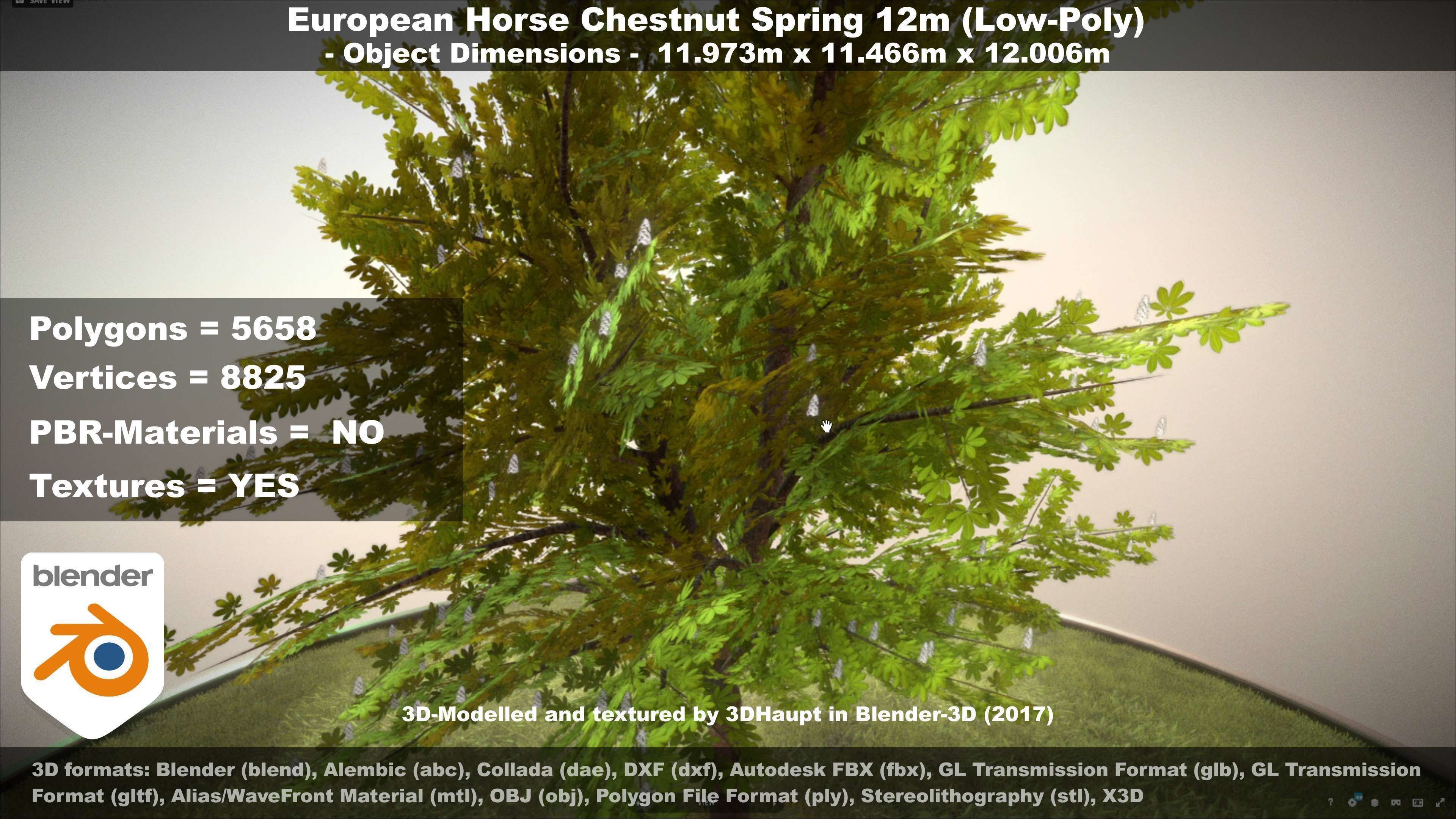 European horse chestnut 12m all seasons 3D Model Collection_61