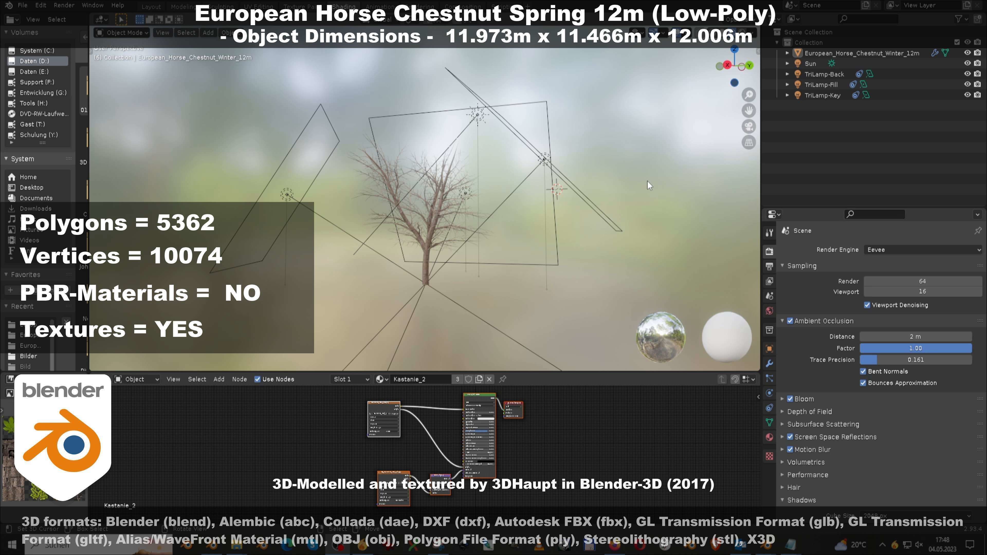 European horse chestnut 12m all seasons 3D Model Collection_84