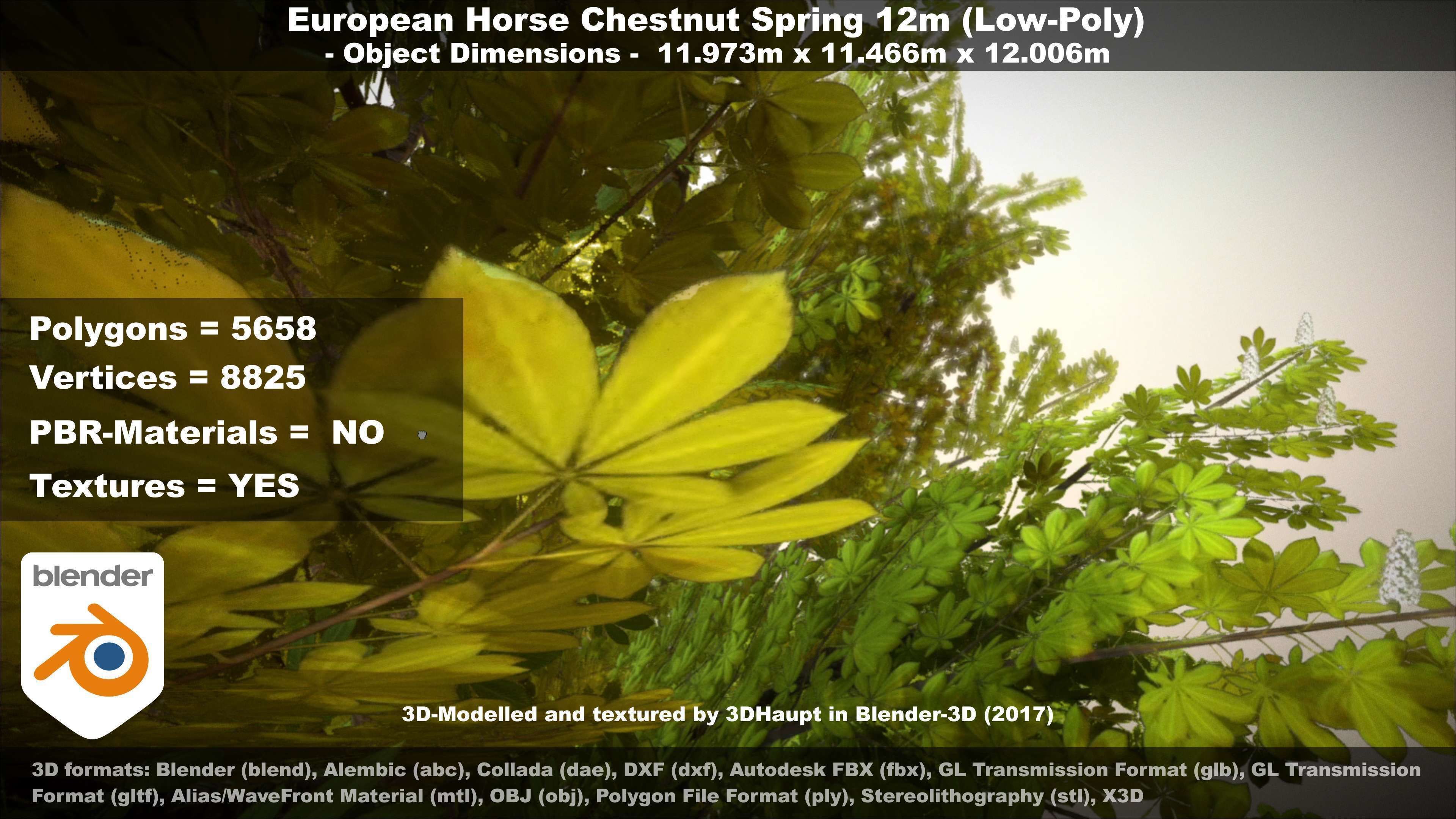European horse chestnut 12m all seasons 3D Model Collection_59