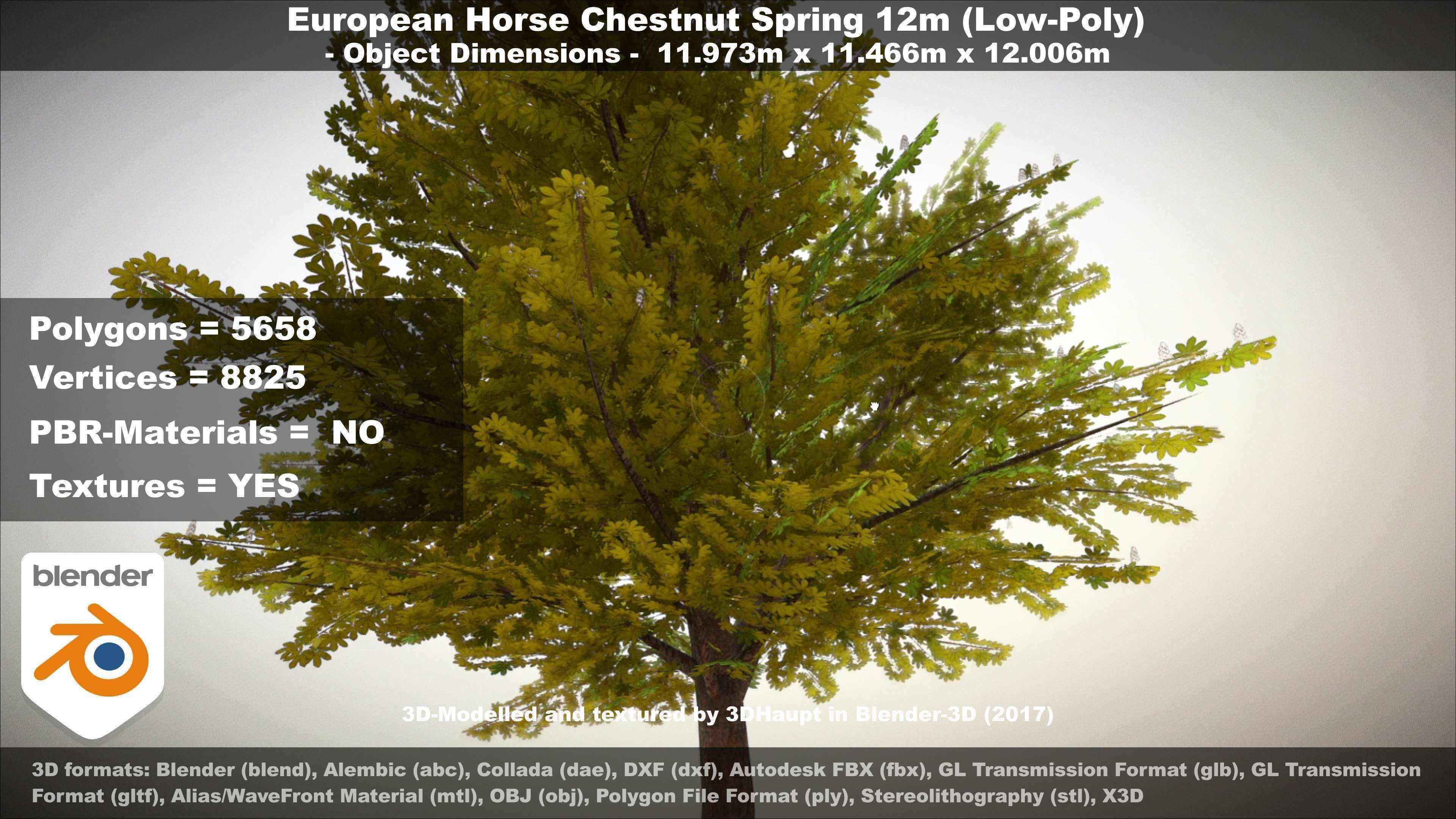 European horse chestnut 12m all seasons 3D Model Collection_64