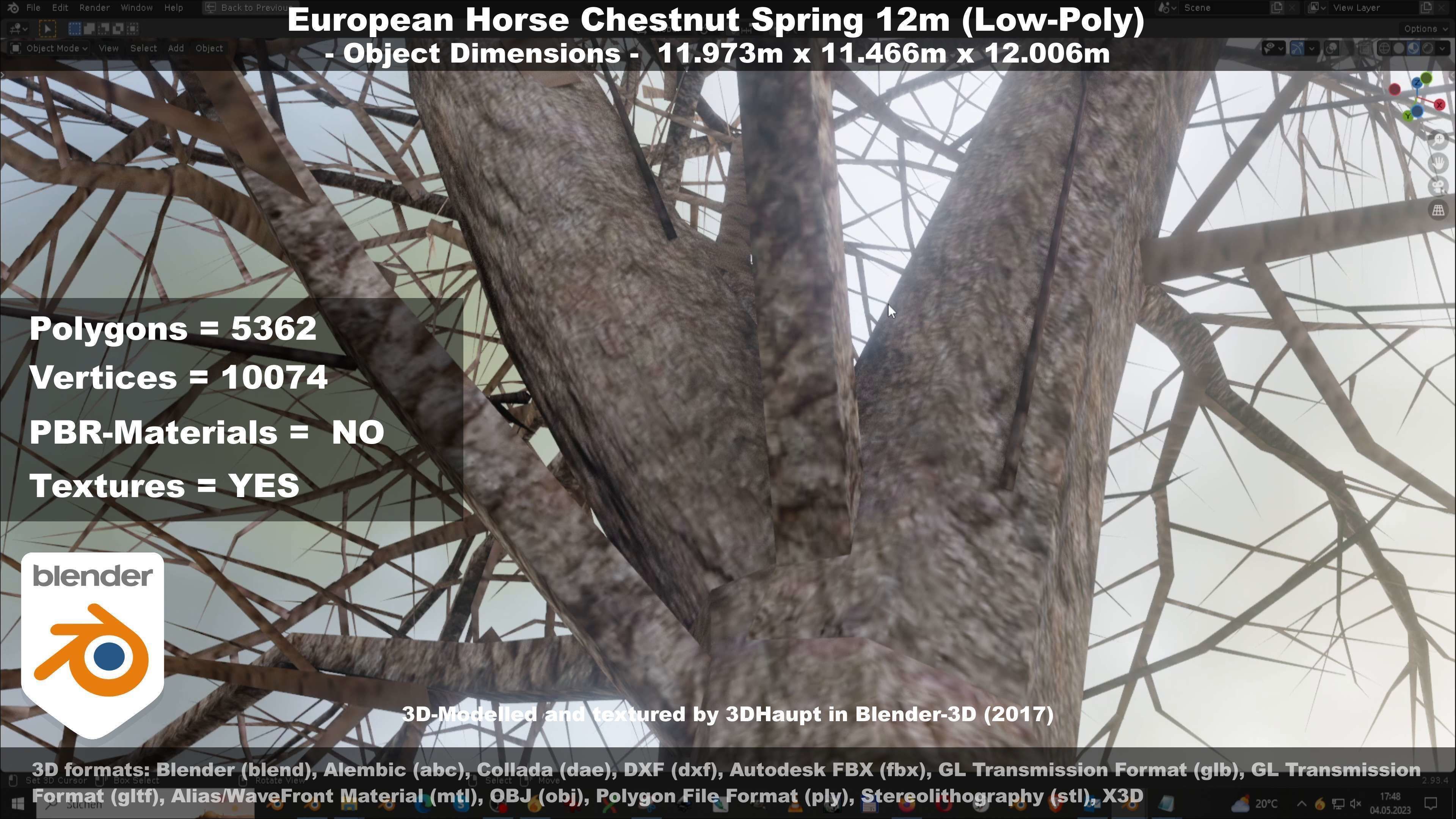 European horse chestnut 12m all seasons 3D Model Collection_87