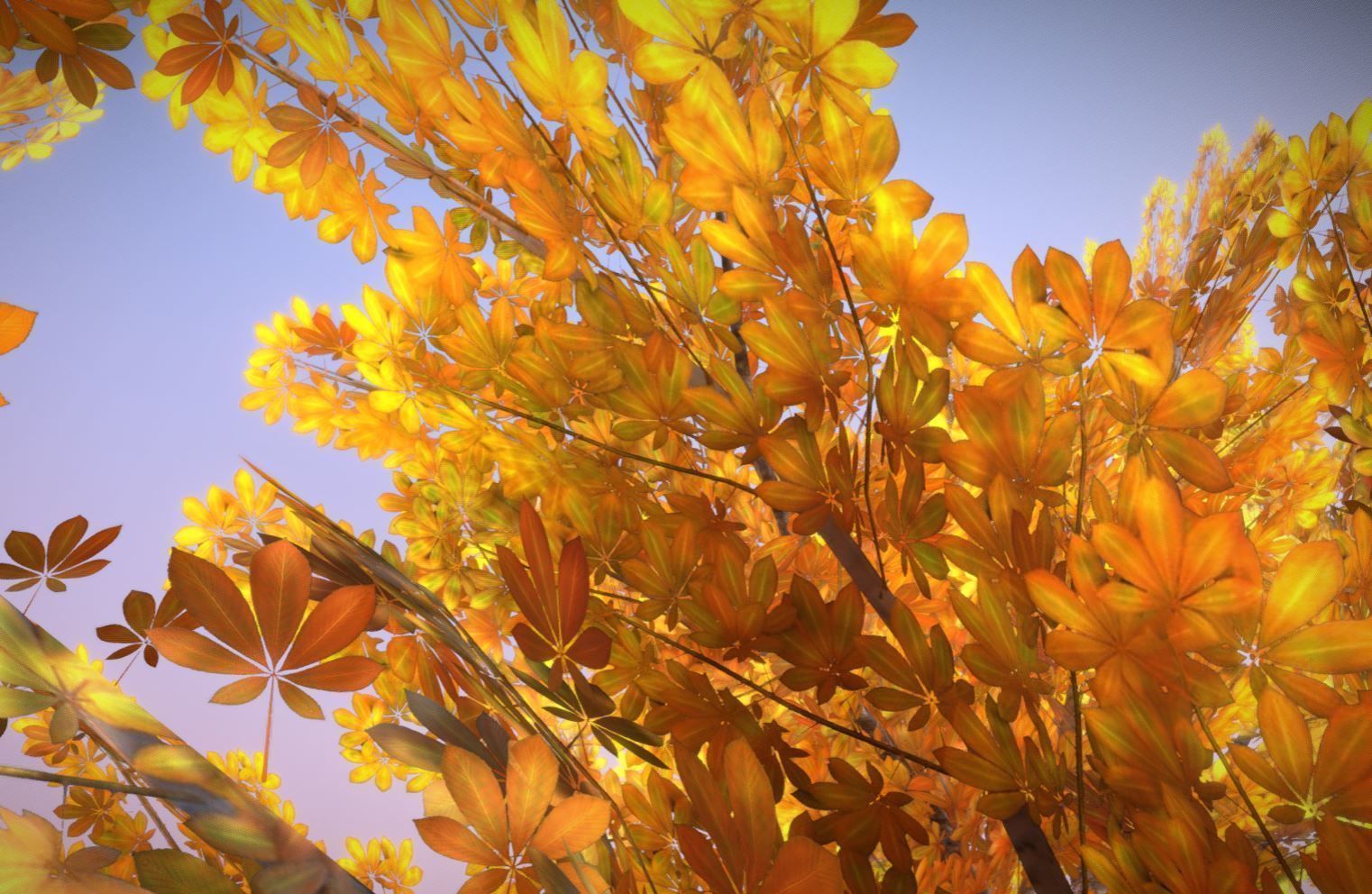 European horse chestnut 12m all seasons 3D Model Collection_8