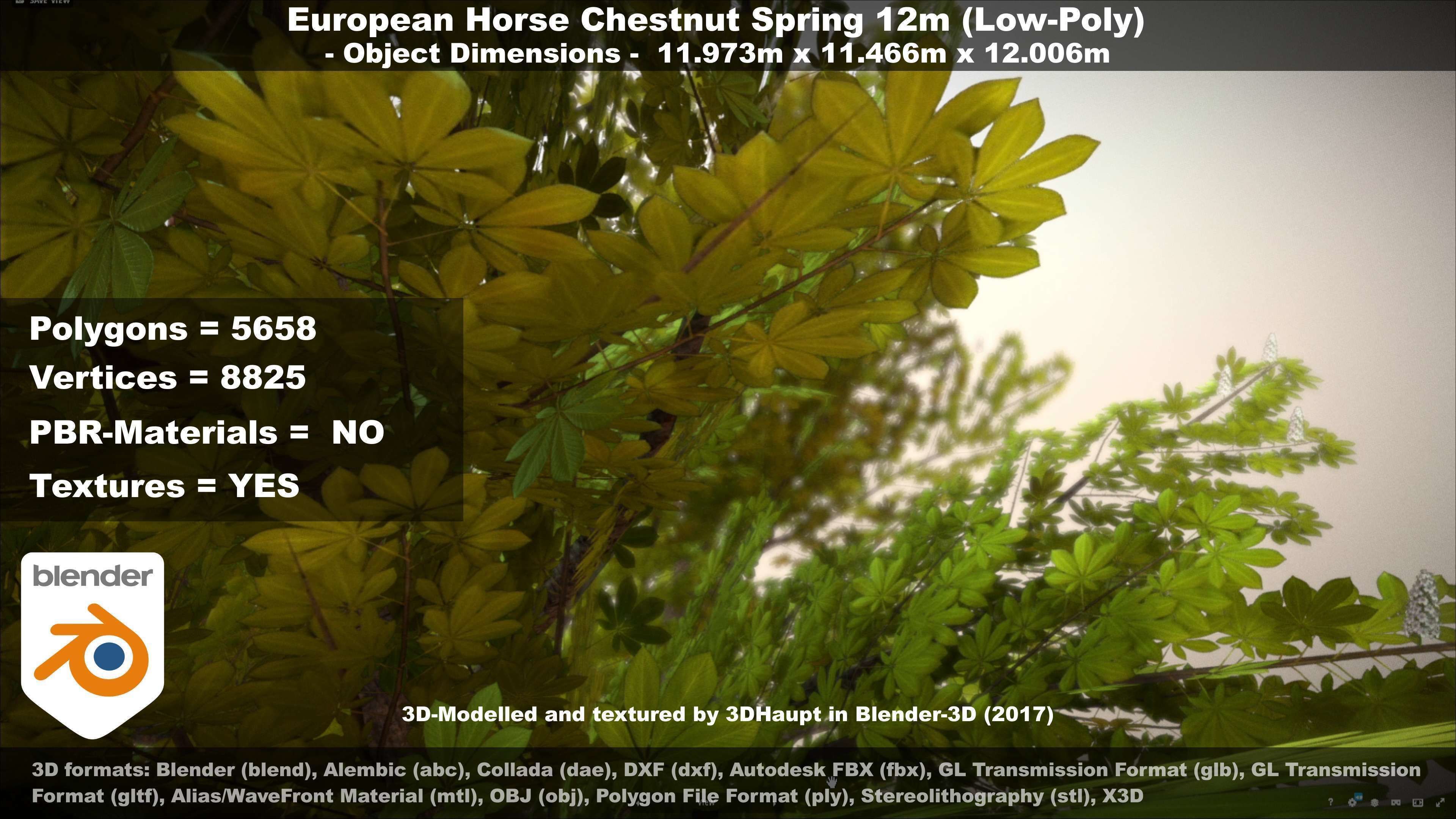 European horse chestnut 12m all seasons 3D Model Collection_66