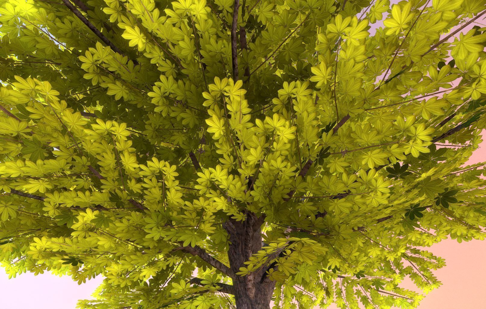 European horse chestnut 12m all seasons 3D Model Collection_29