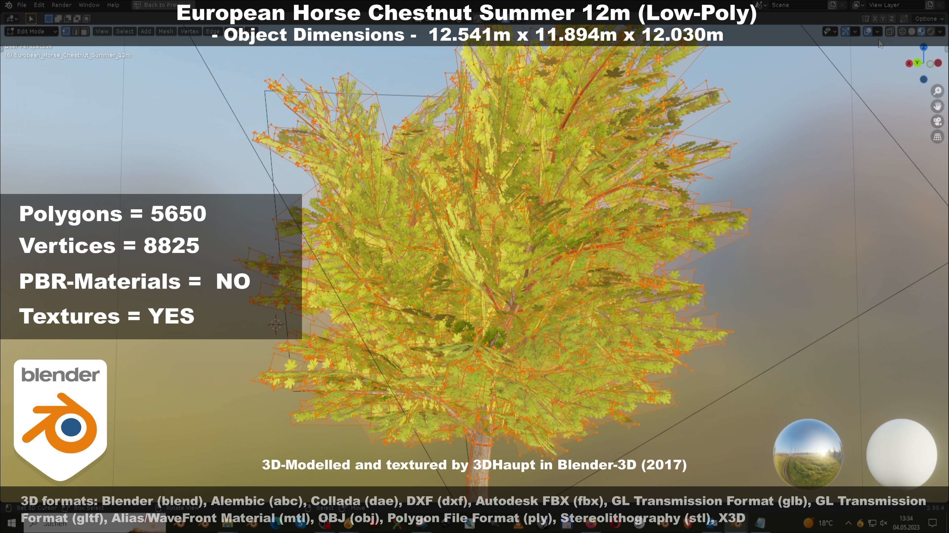 European horse chestnut 12m all seasons 3D Model Collection_70