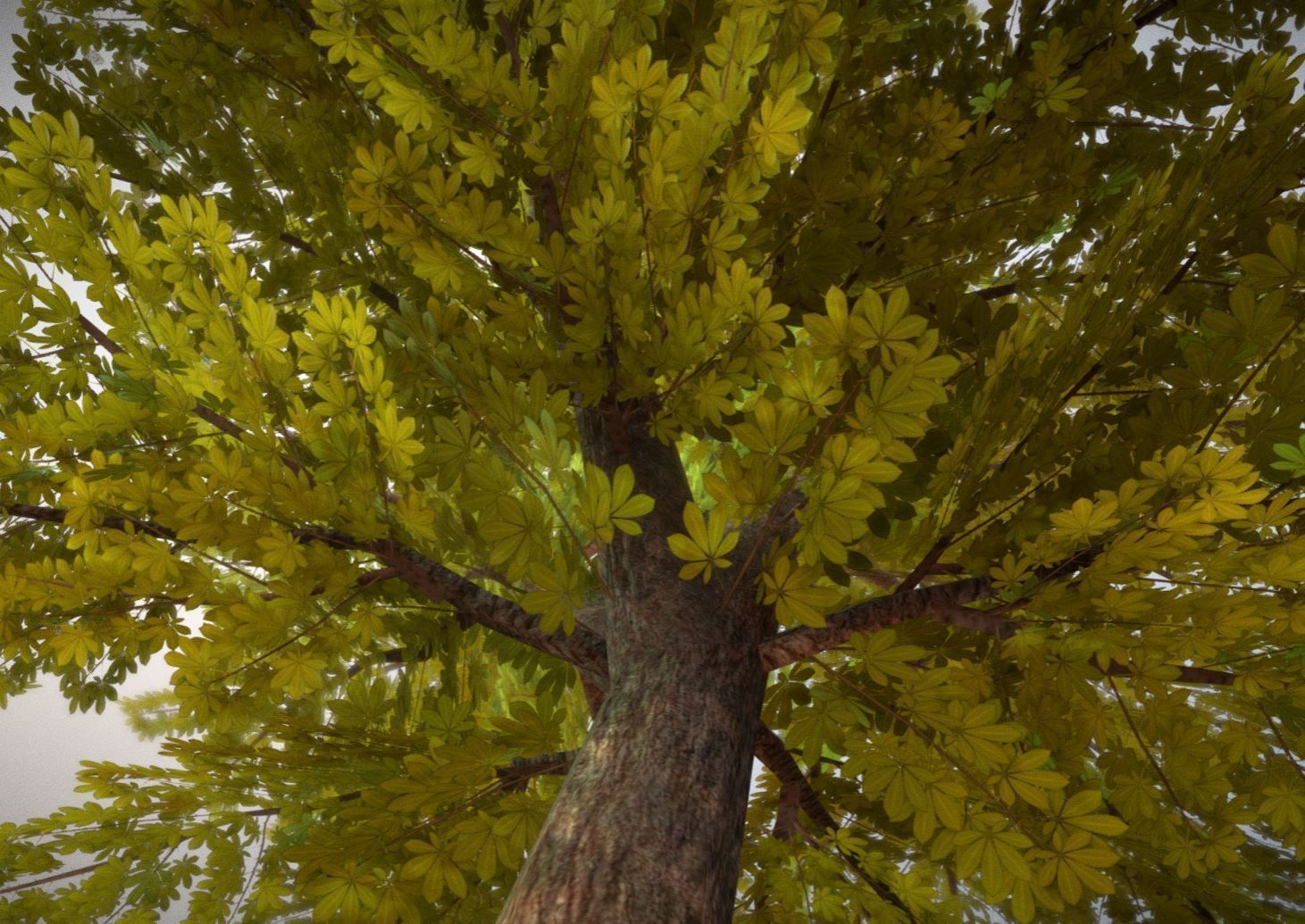 European horse chestnut 12m all seasons 3D Model Collection_18