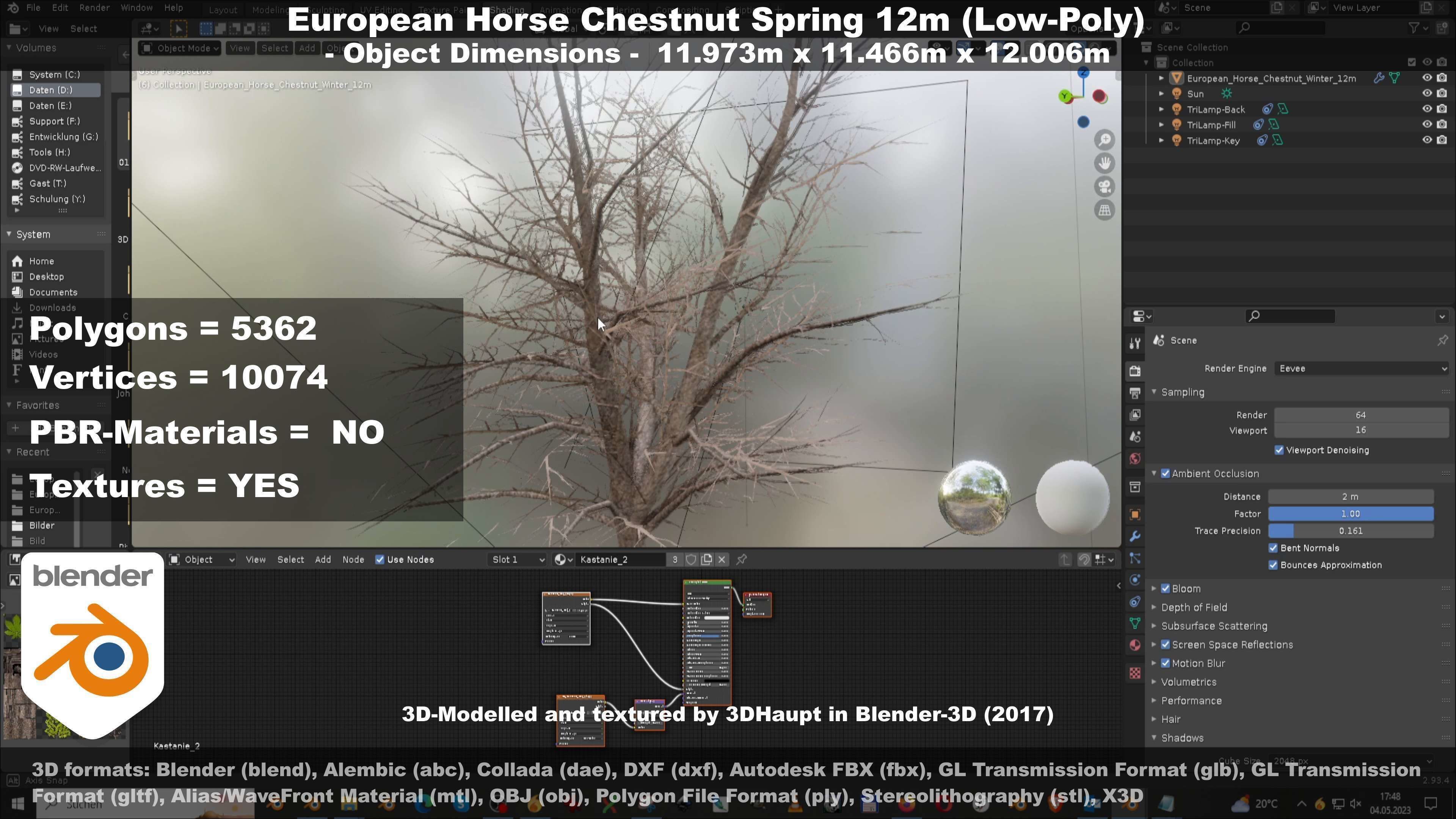 European horse chestnut 12m all seasons 3D Model Collection_90