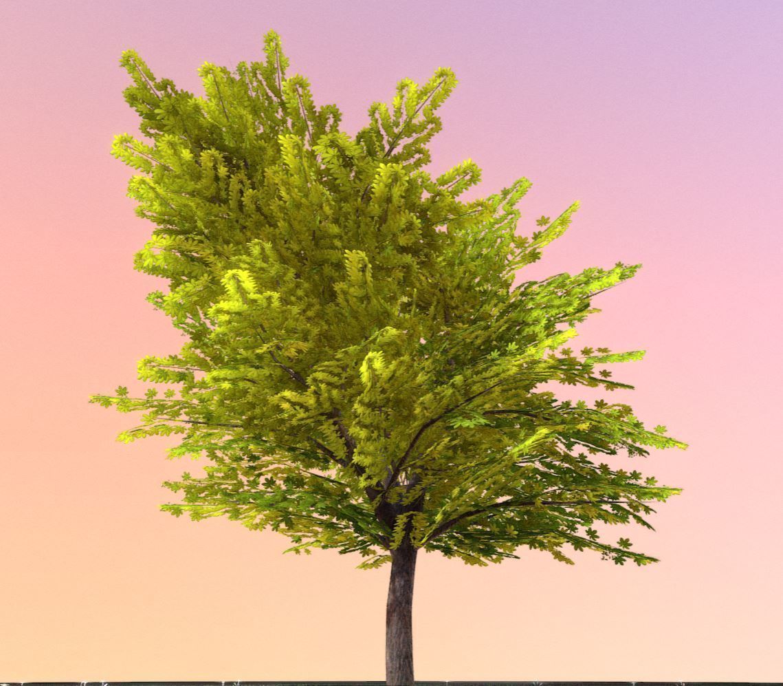 European horse chestnut 12m all seasons 3D Model Collection_26