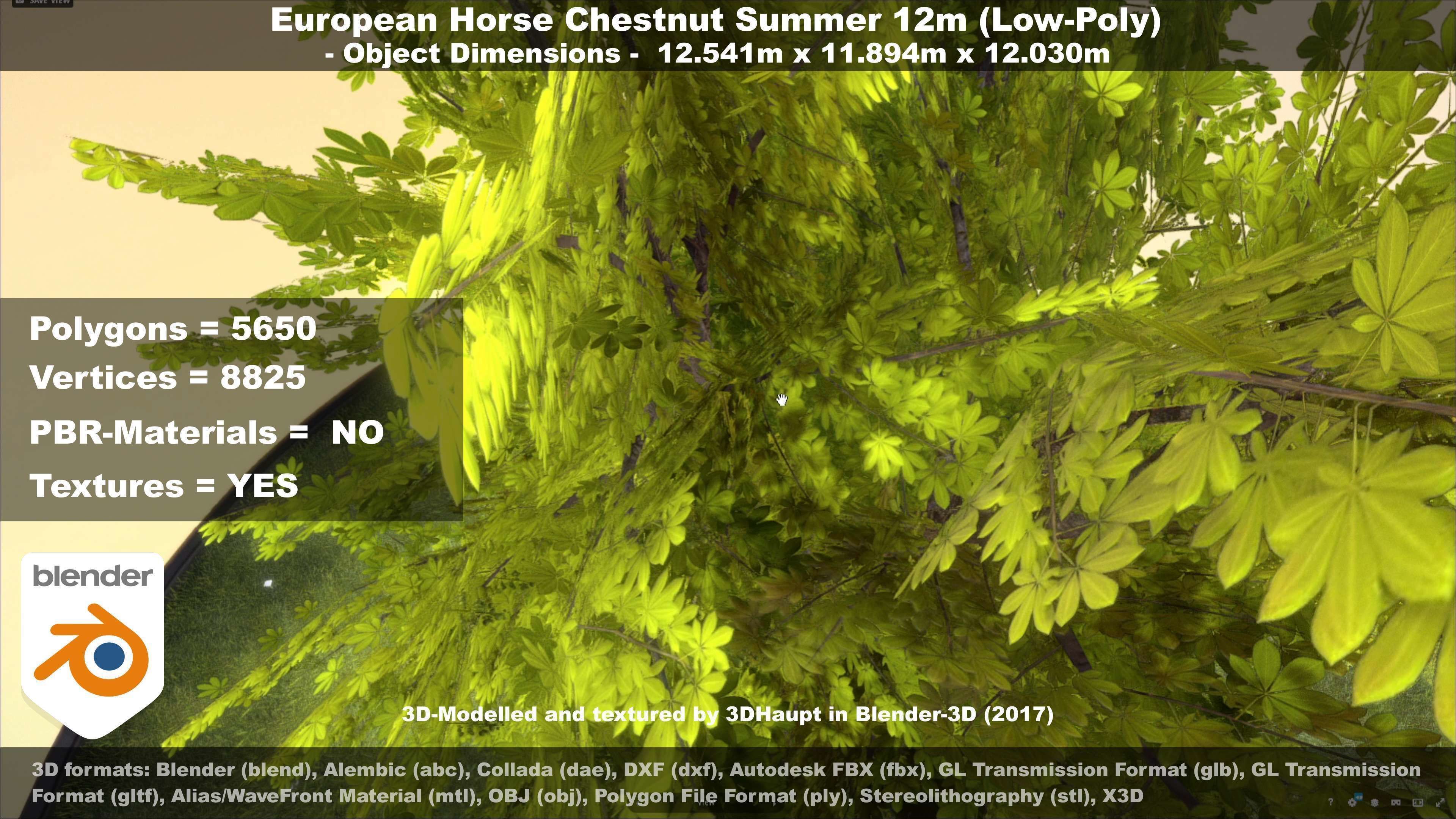 European horse chestnut 12m all seasons 3D Model Collection_73