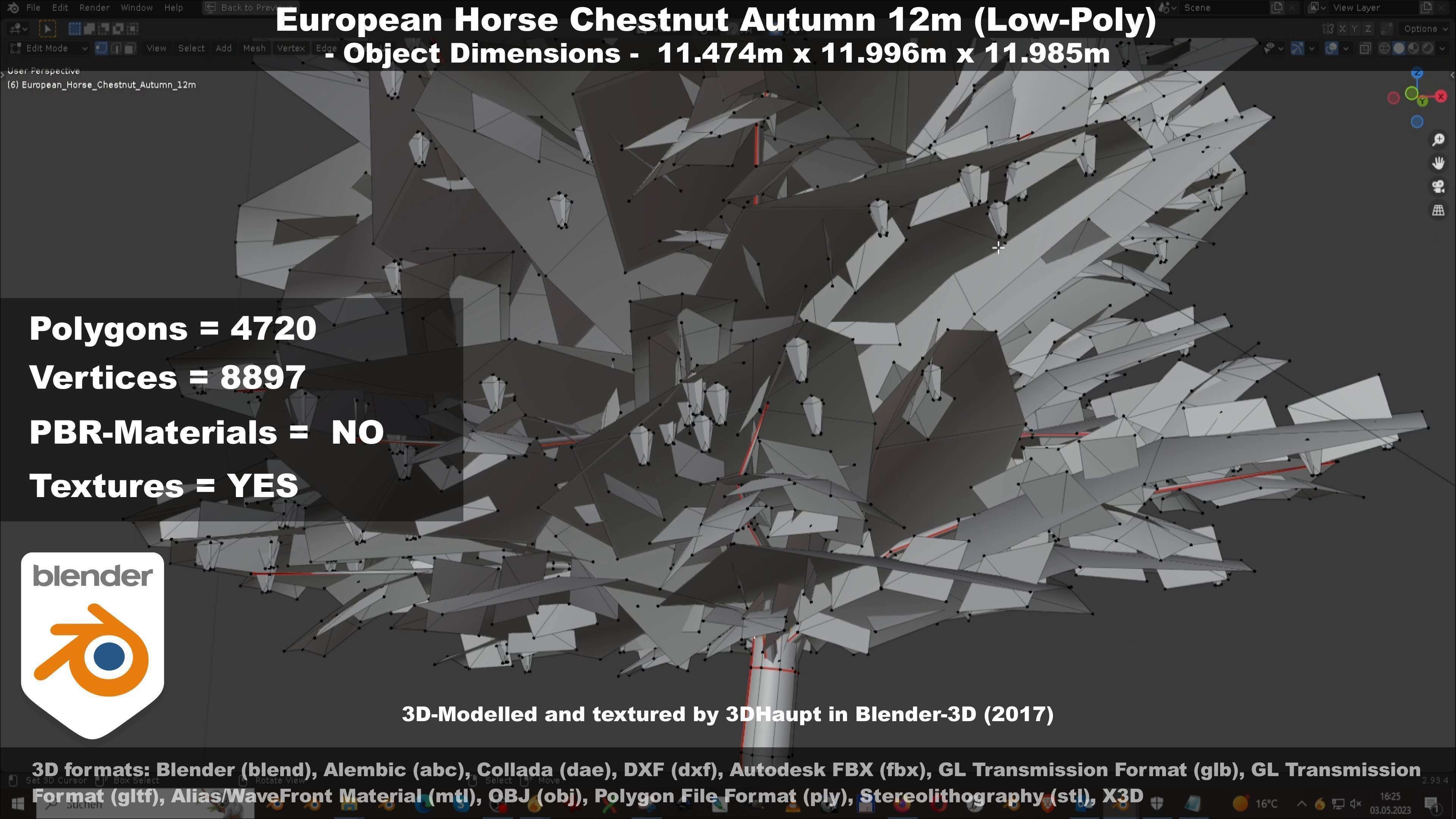 European horse chestnut 12m all seasons 3D Model Collection_44