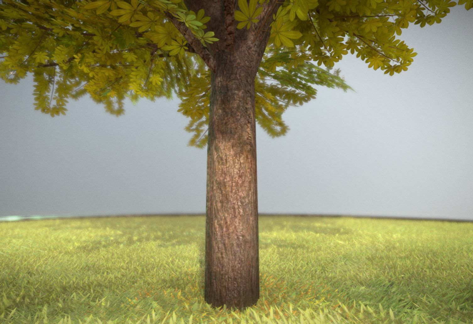 European horse chestnut 12m all seasons 3D Model Collection_16