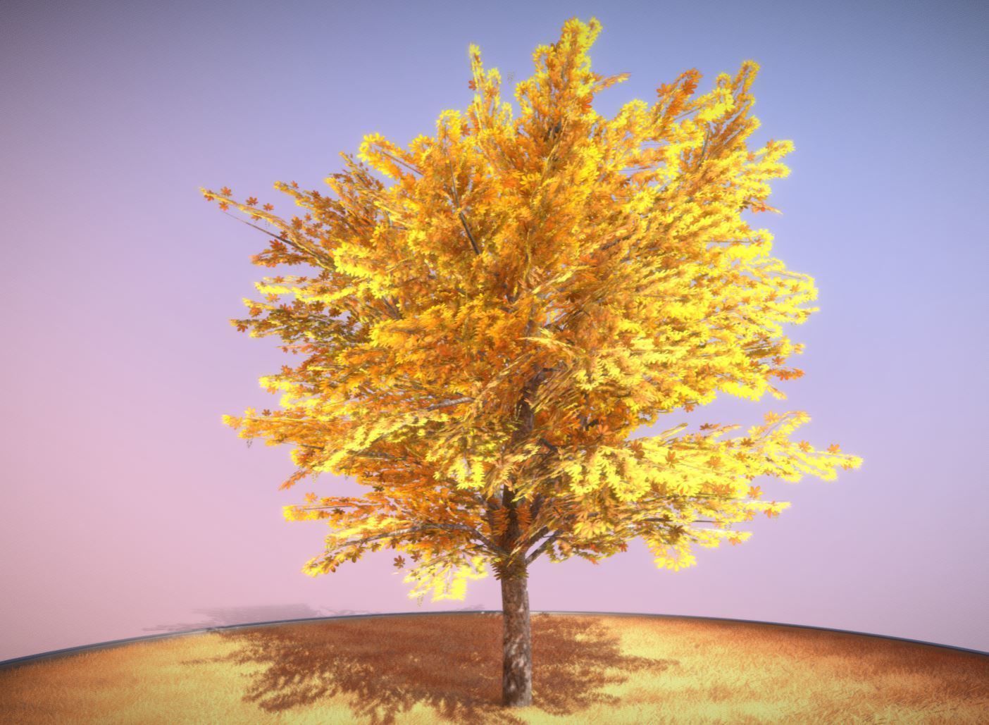 European horse chestnut 12m all seasons 3D Model Collection_9