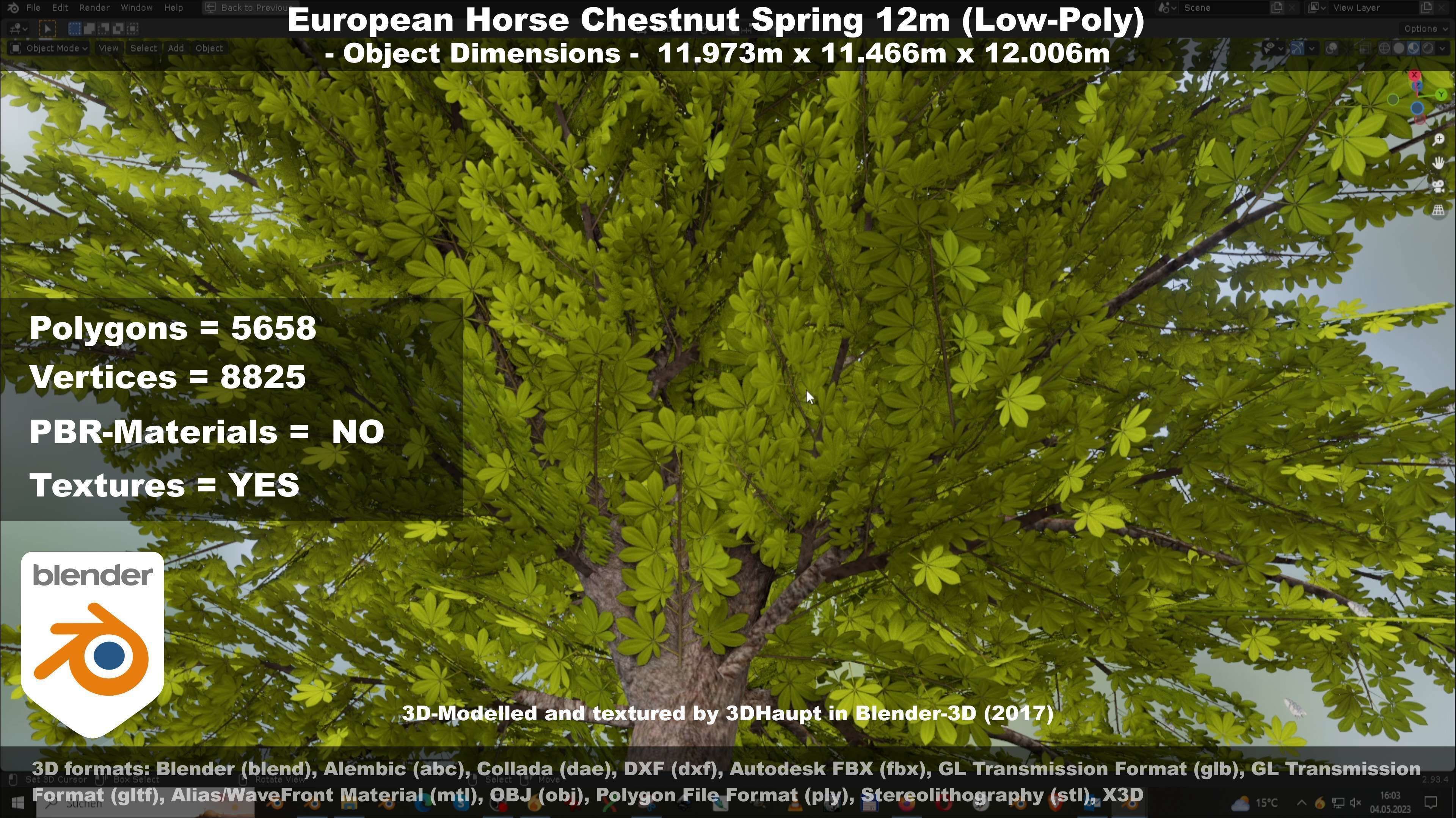European horse chestnut 12m all seasons 3D Model Collection_63
