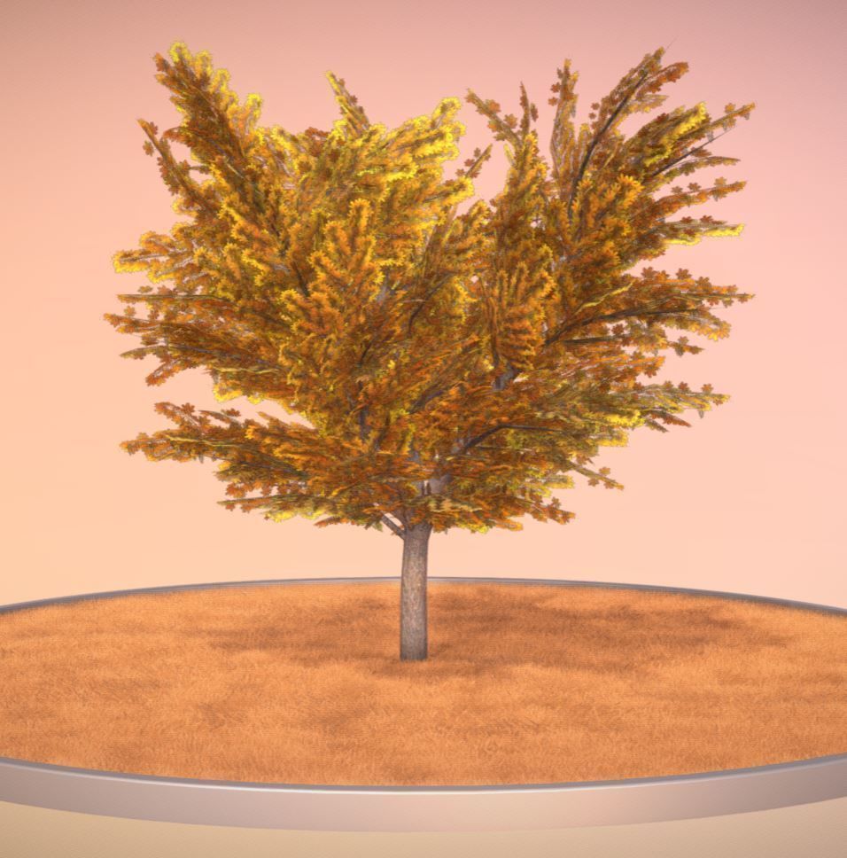 European horse chestnut 12m all seasons 3D Model Collection_5