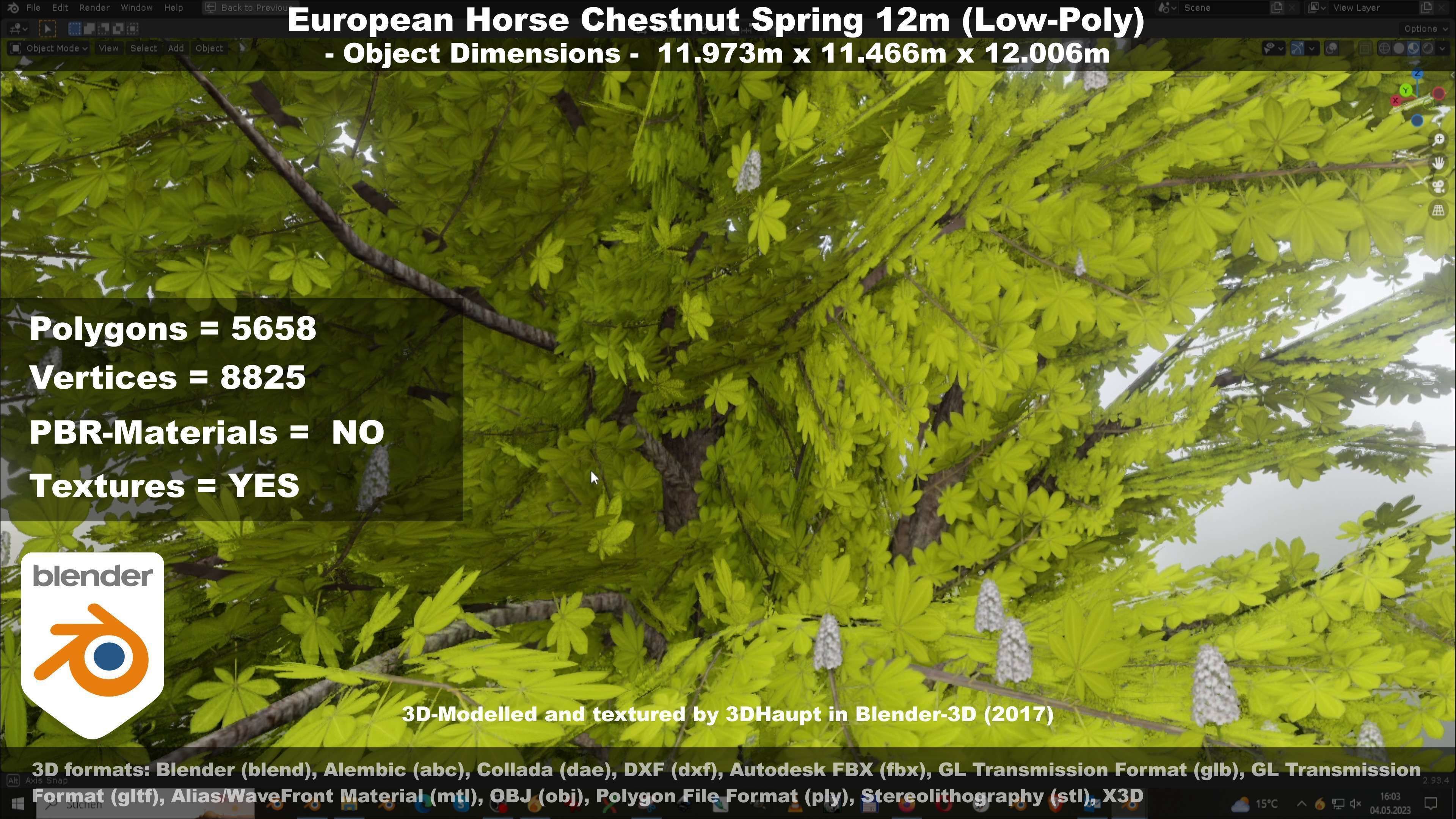 European horse chestnut 12m all seasons 3D Model Collection_58