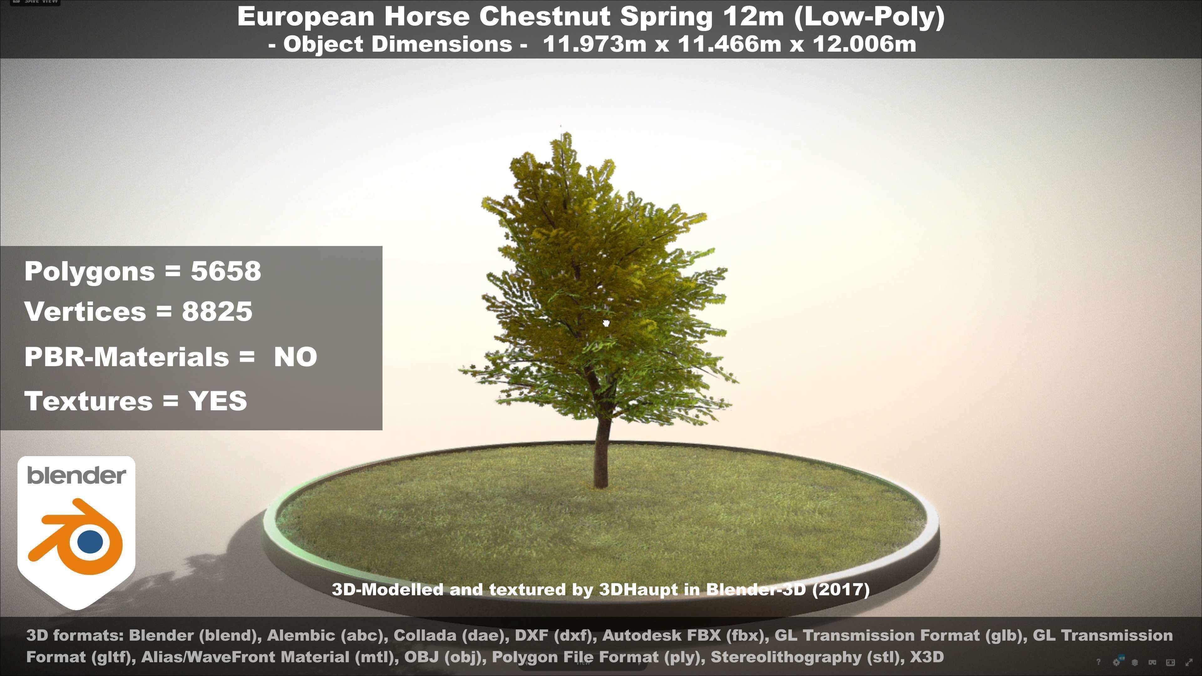 European horse chestnut 12m all seasons 3D Model Collection_57