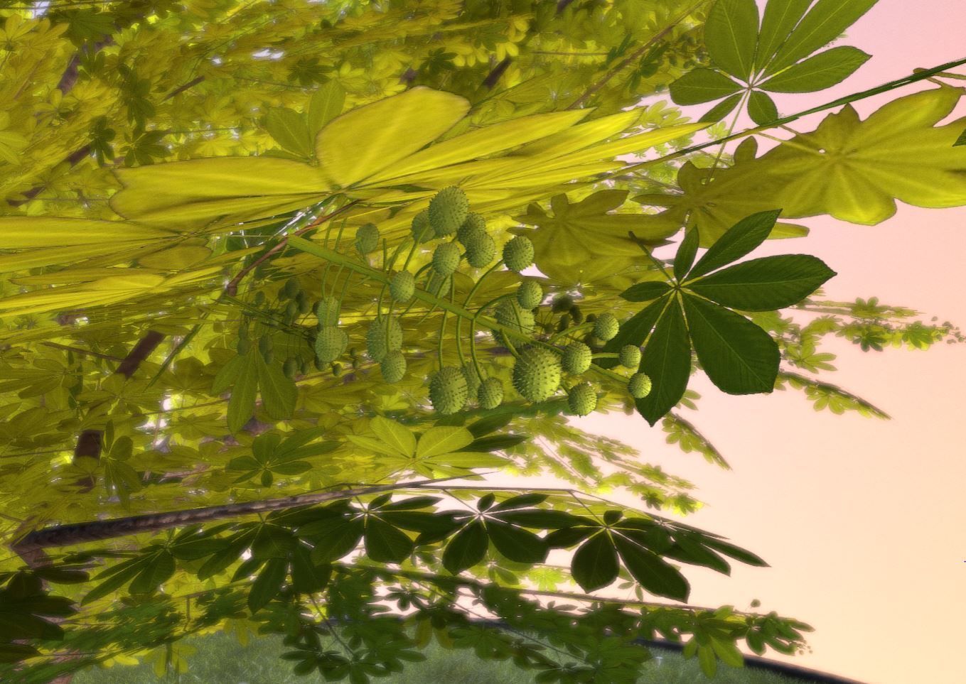 European horse chestnut 12m all seasons 3D Model Collection_38