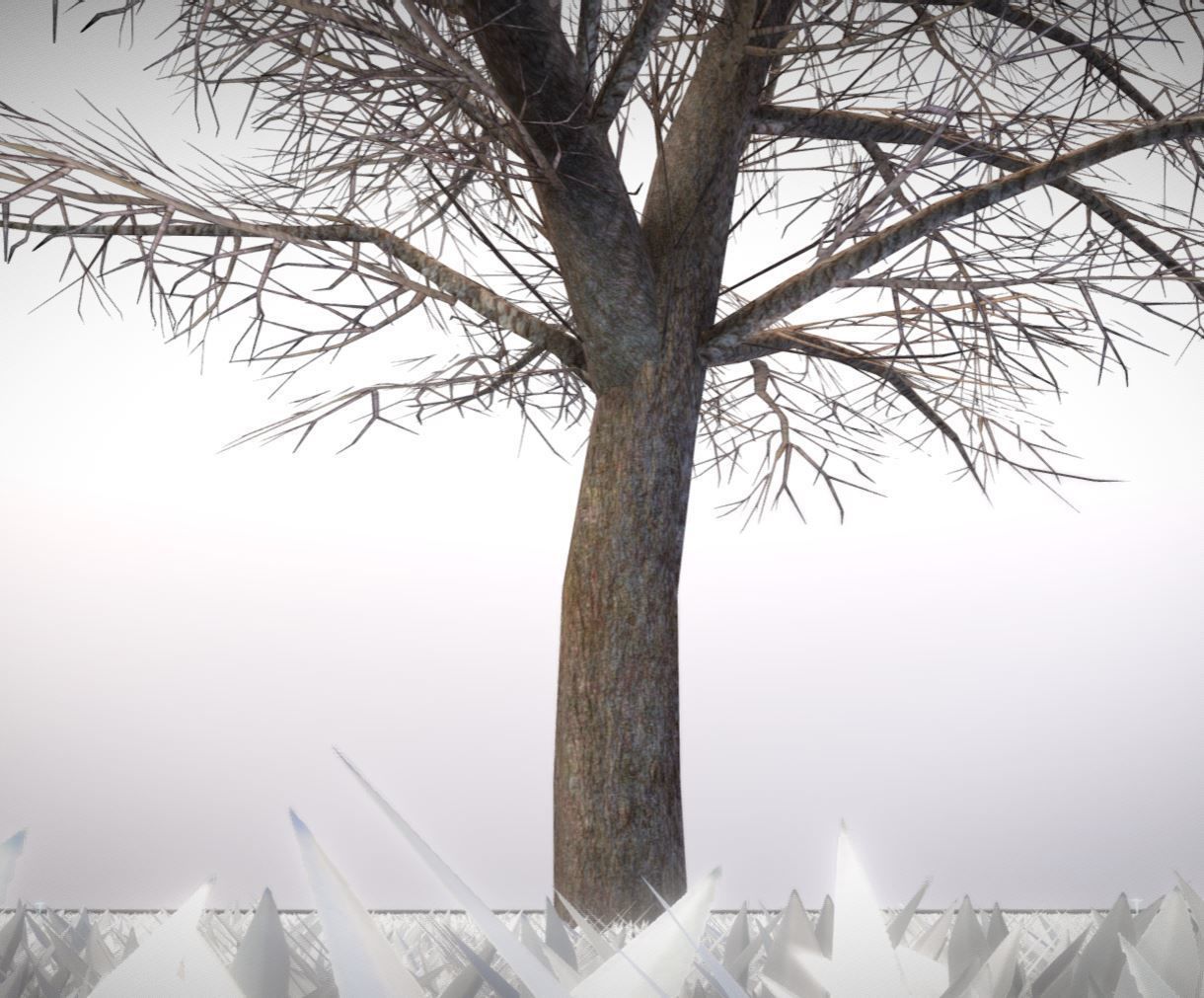 European horse chestnut 12m all seasons 3D Model Collection_32