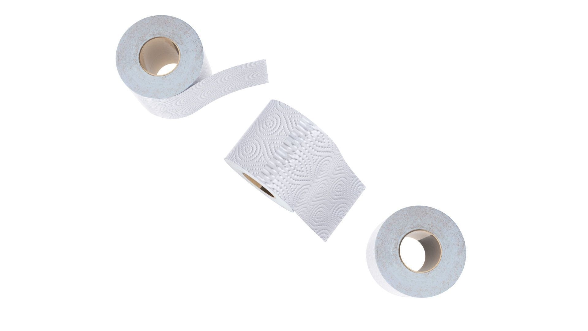 Toilet Papers 3D model_14