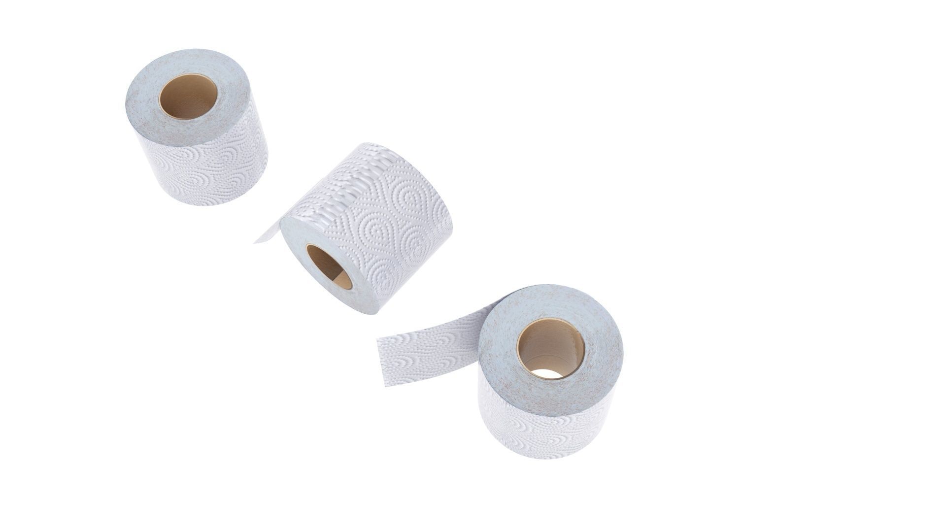 Toilet Papers 3D model_12