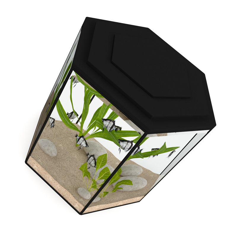 Hexagonal Aquarium 3D model_3