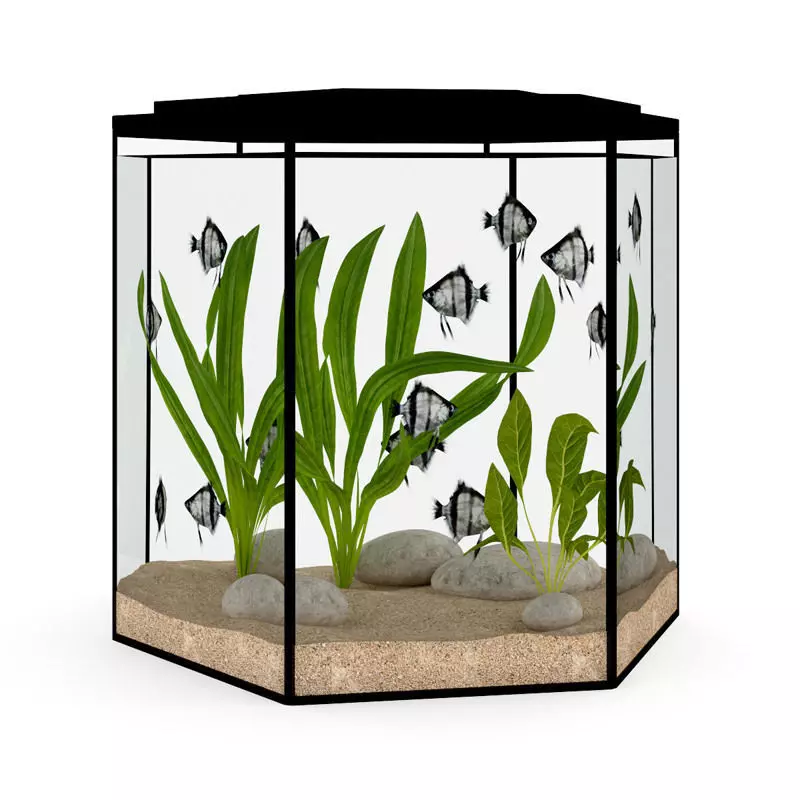 Hexagonal Aquarium 3D model_0