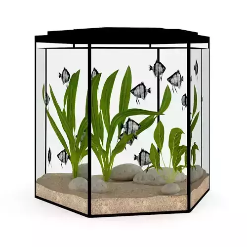 Hexagonal Aquarium 3D model