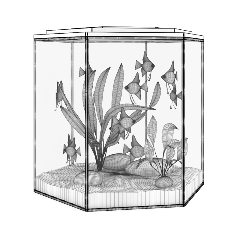 Hexagonal Aquarium 3D model_2