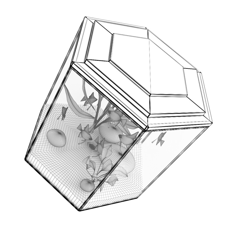 Hexagonal Aquarium 3D model_1