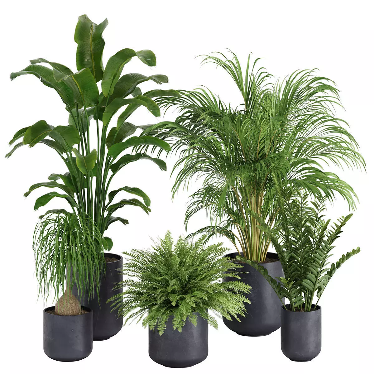 plant In Pots set 05 3D model