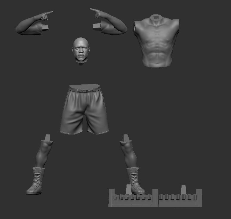 Floyd MayWeather 3D Printable 1 3D print model_1