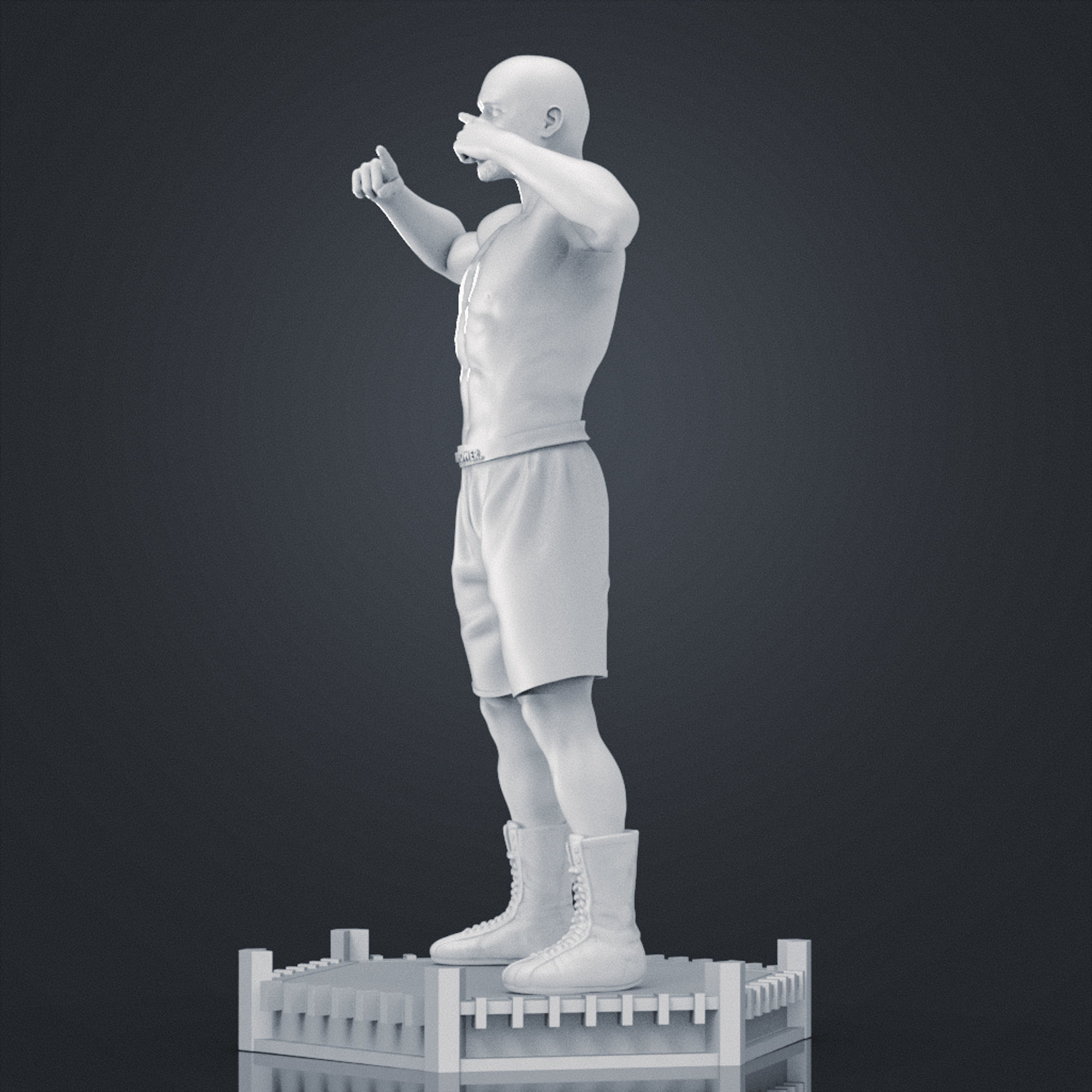 Floyd MayWeather 3D Printable 1 3D print model_15