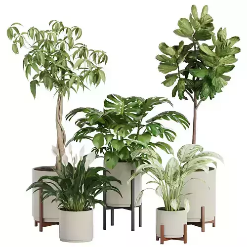 plant in pots set 03 3D model