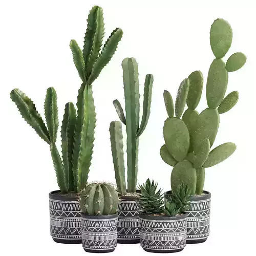 plant in pots  set 04 3D model