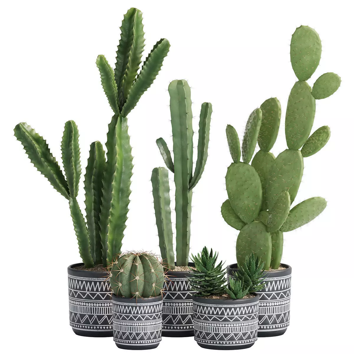 plant in pots set 04 3D model