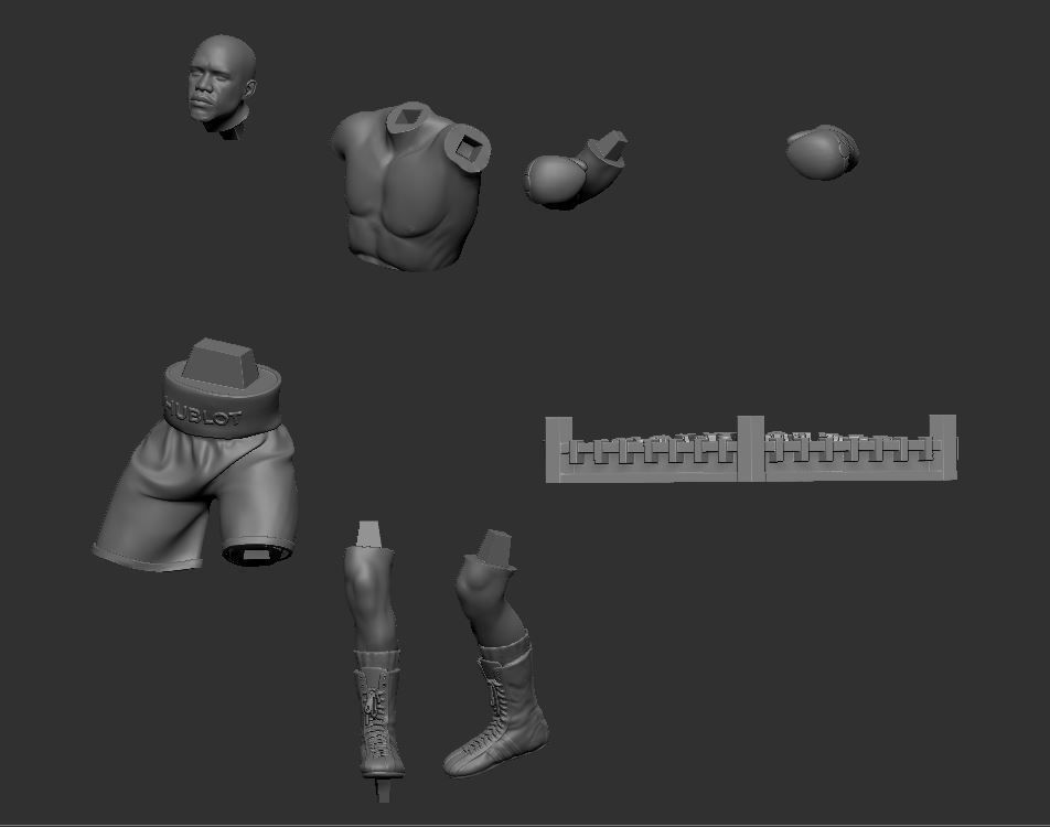 Floyd MayWeather 3D Printable 2 3D print model_1