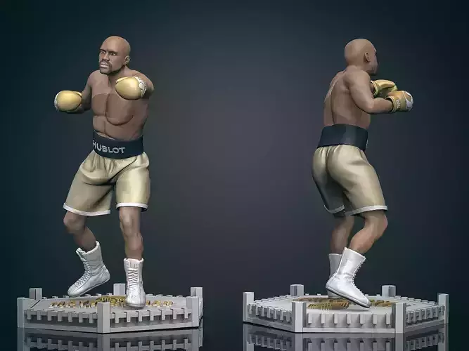 Floyd MayWeather 3D Printable 2 3D print model